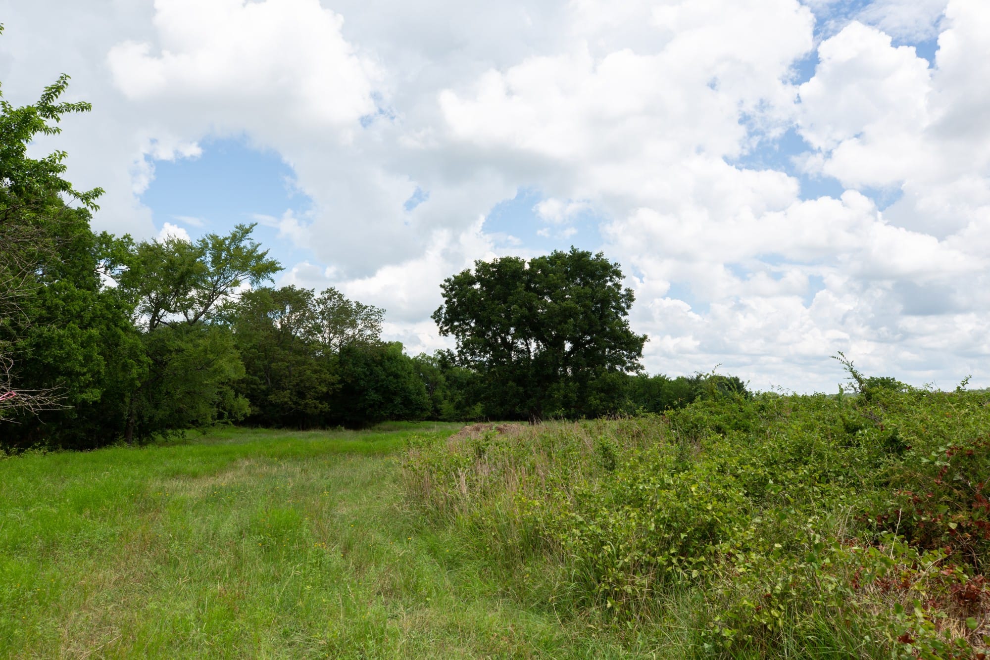 Paradise Valley Tract 2 photo 5
