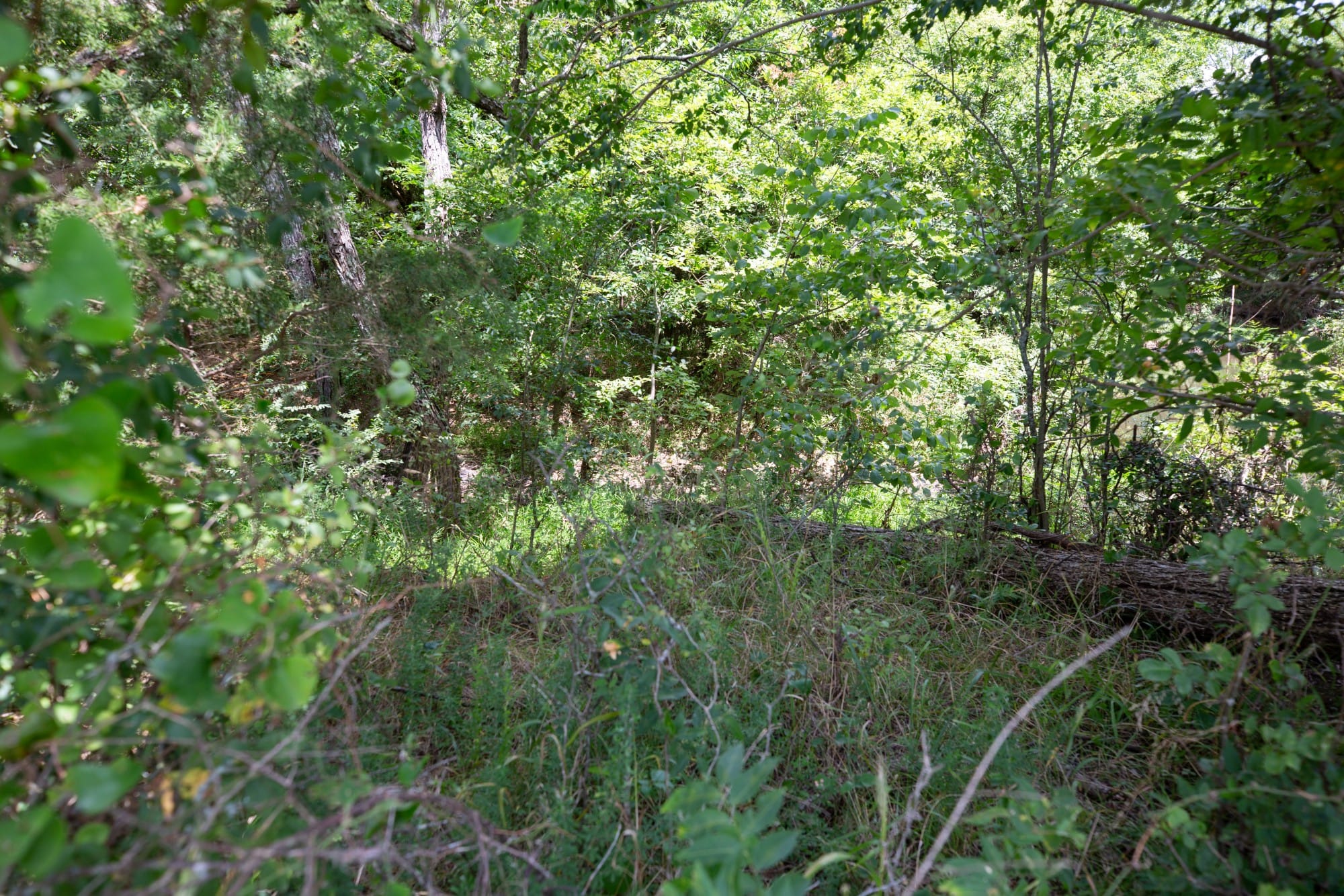 Paradise Valley Tract 2 photo 11