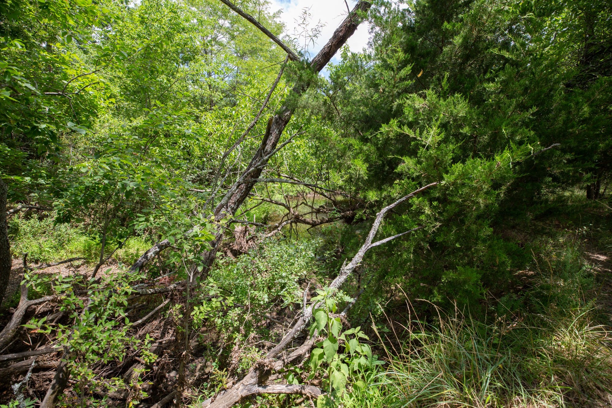 Paradise Valley Tract 2 photo 6