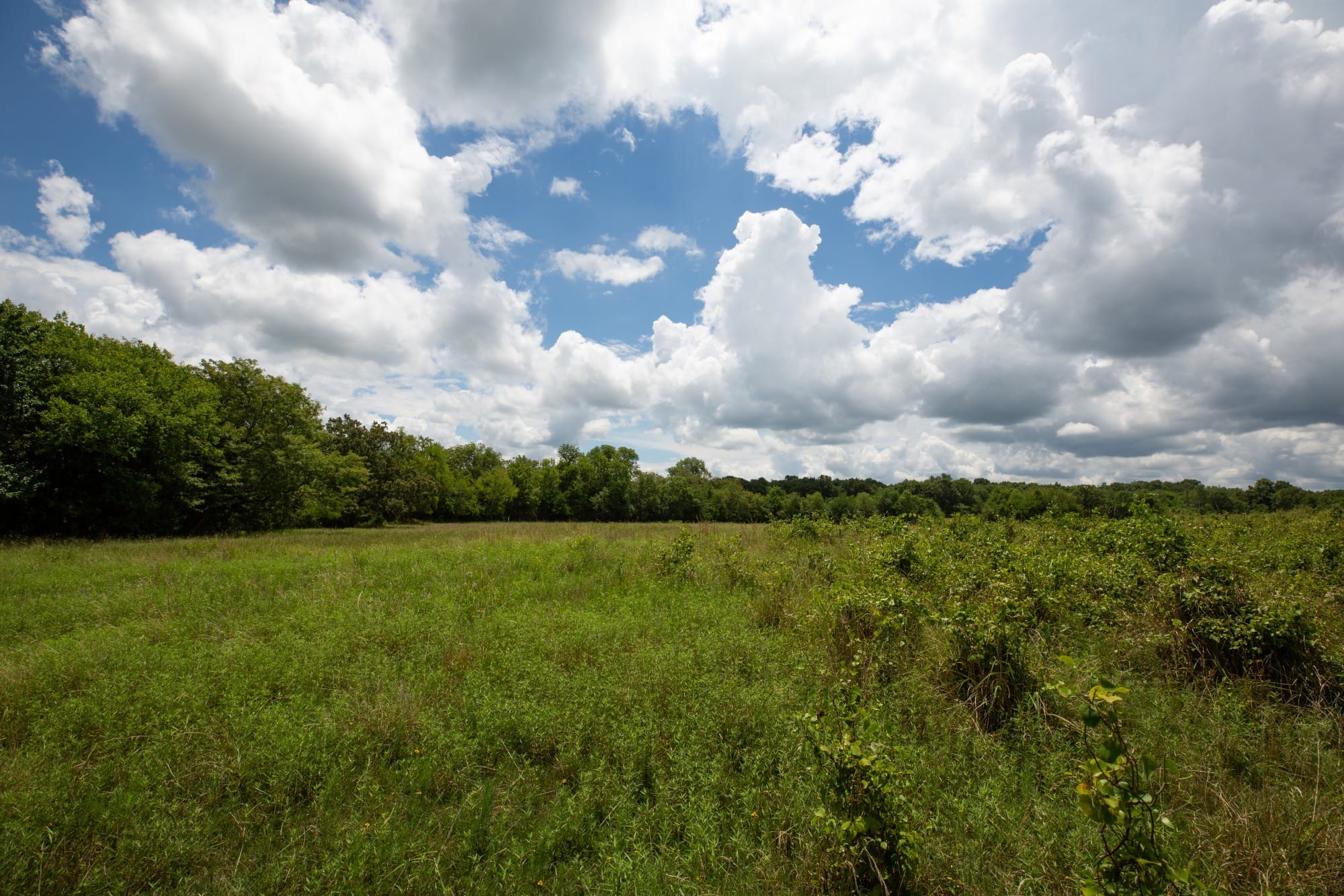 Paradise Valley Tract 2 photo 8