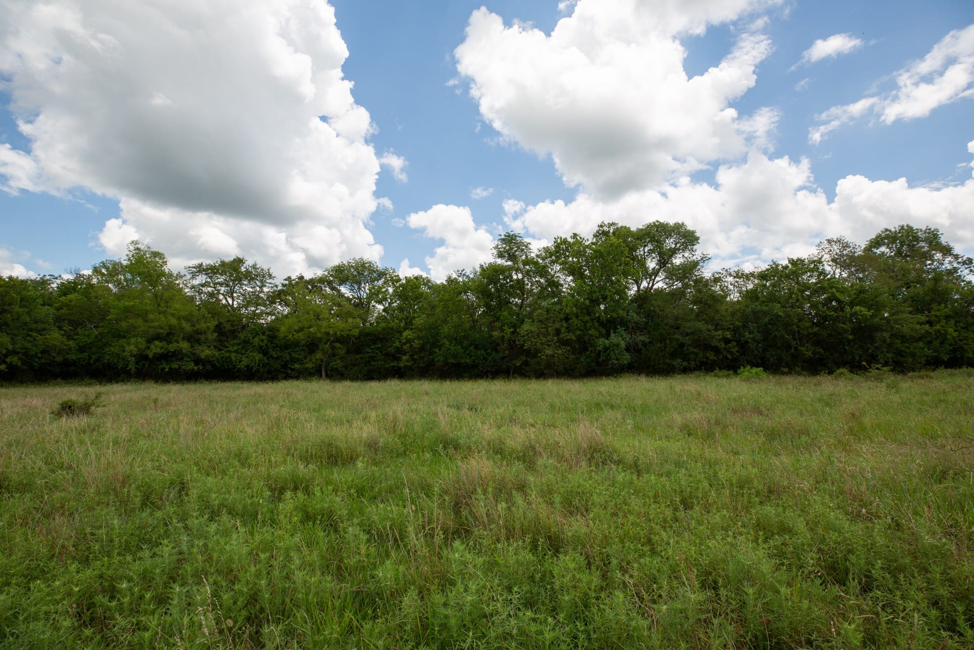 Paradise Valley Tract 2 photo 14