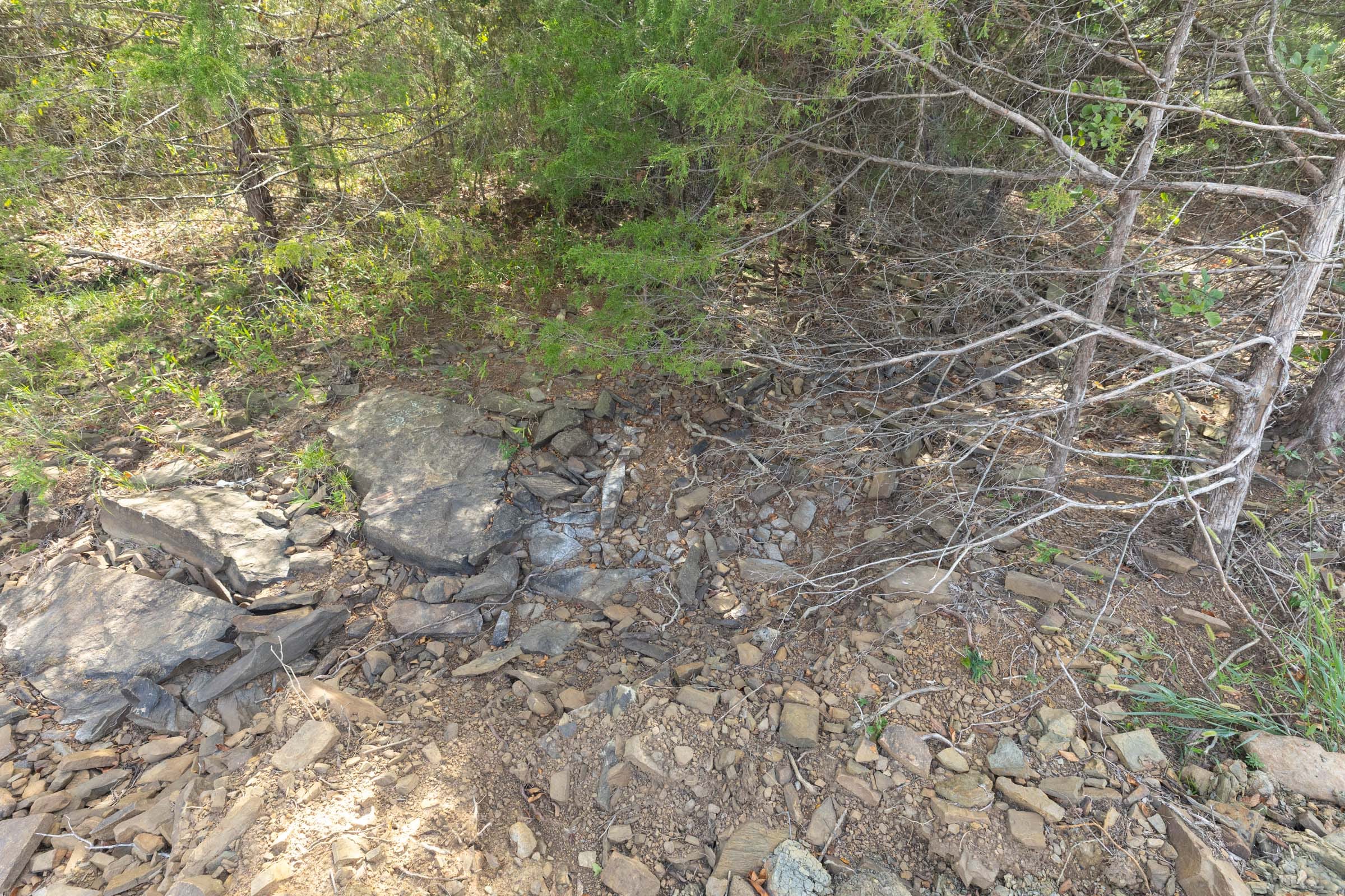 Reserves At Cattail Cove Phase II Tract 71 photo 6