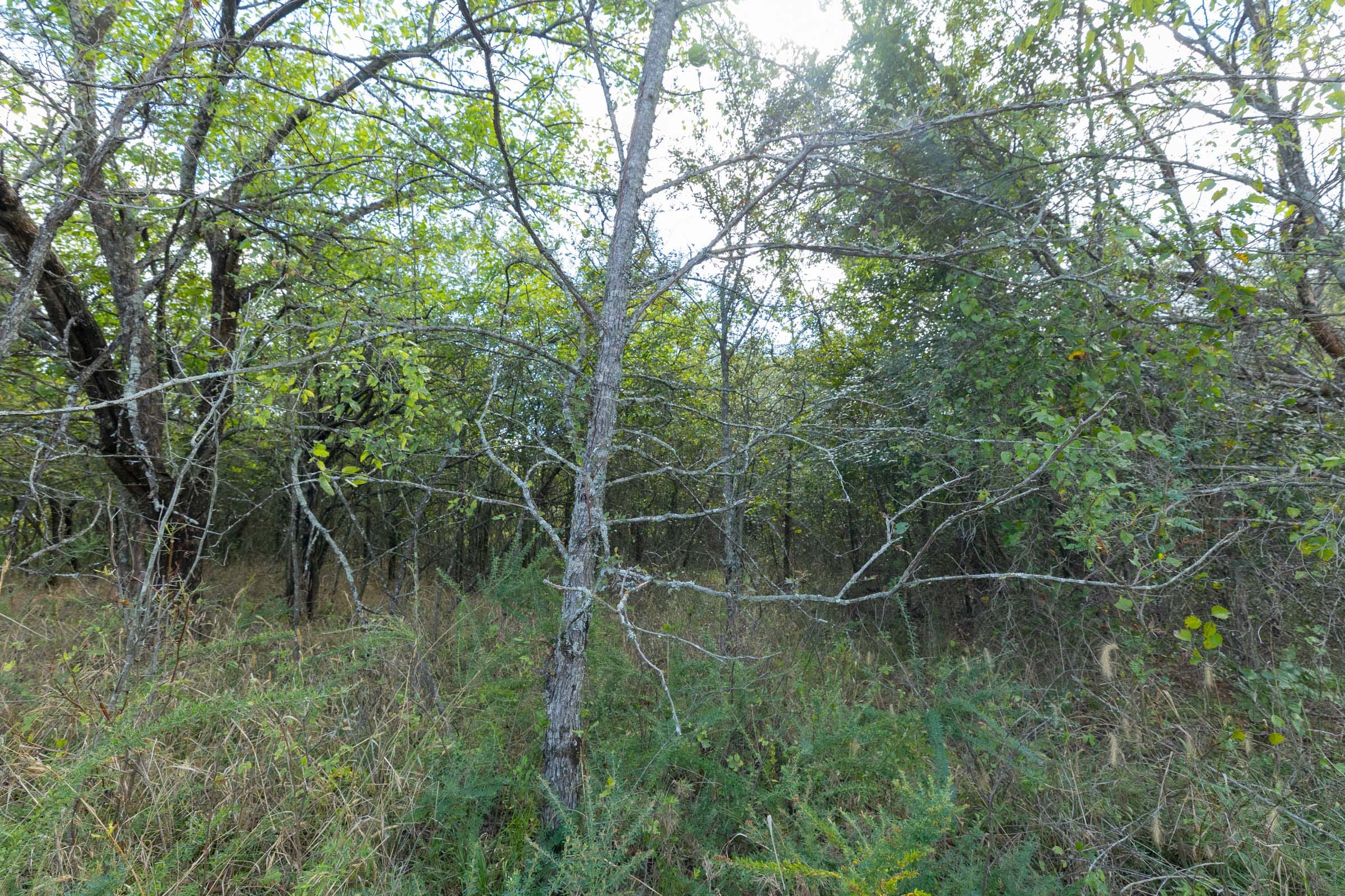 Reserves At Cattail Cove Phase II Tract 71 photo 11