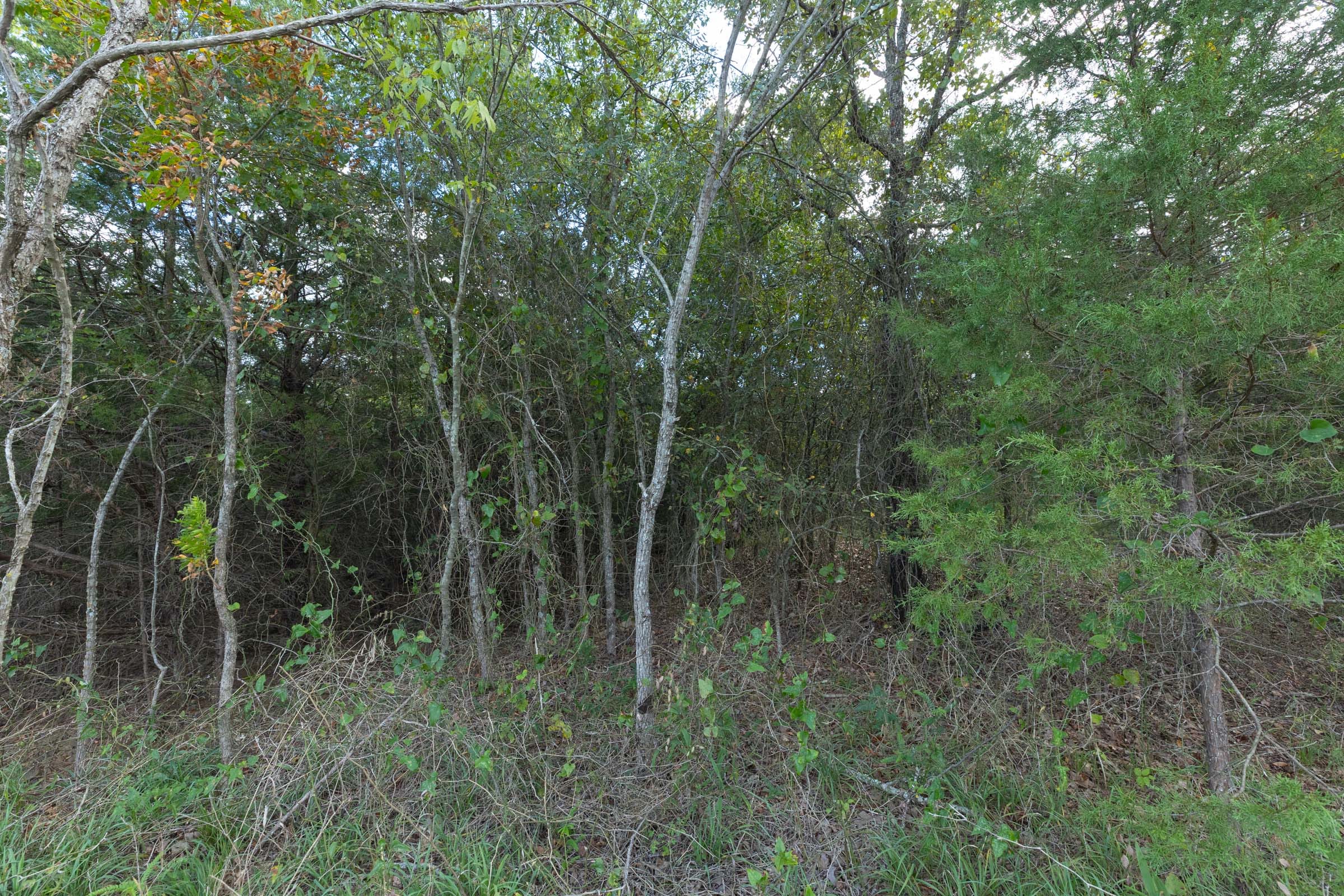 Reserves At Cattail Cove Phase II Tract 71 photo 10