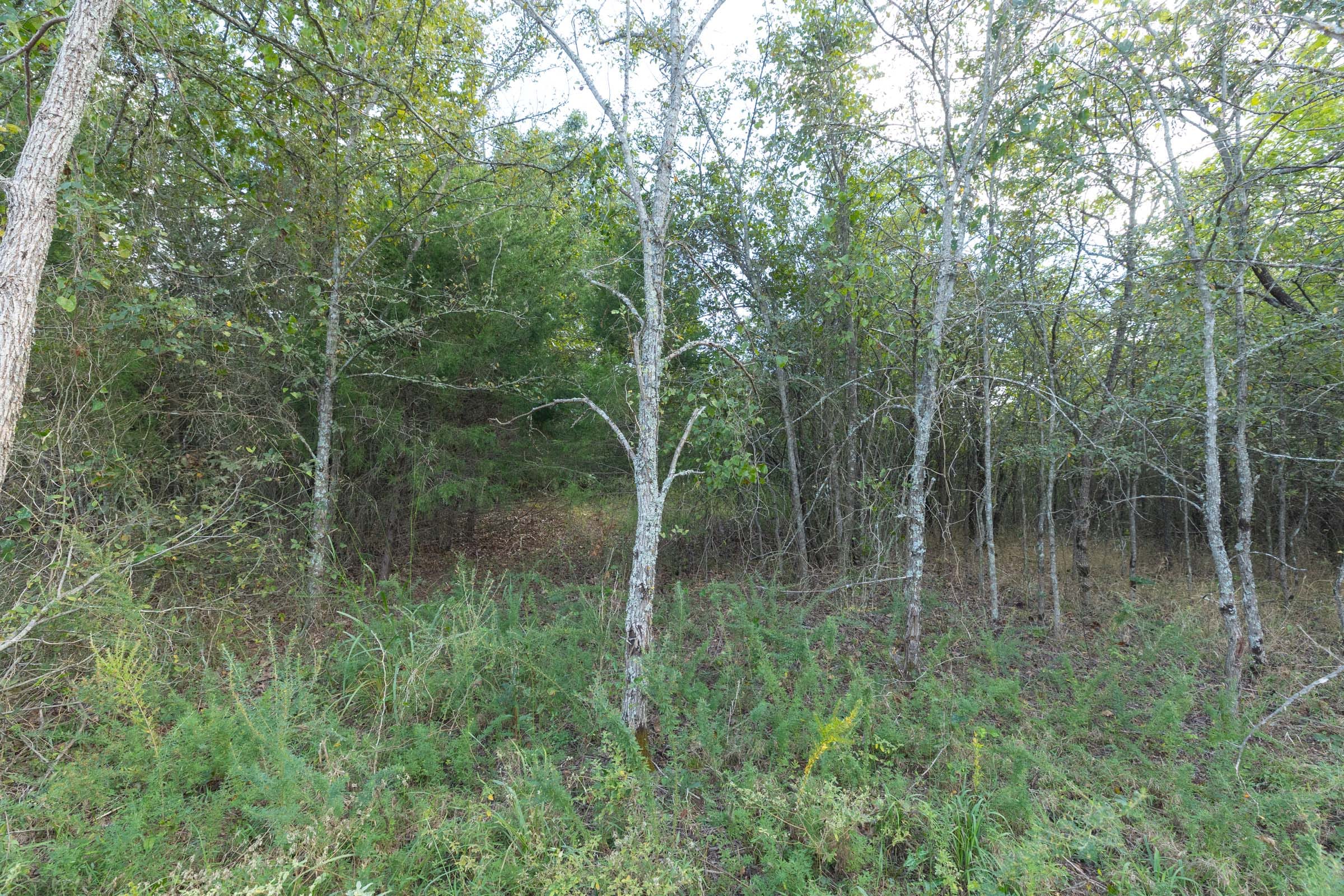 Reserves At Cattail Cove Phase II Tract 71 photo 9
