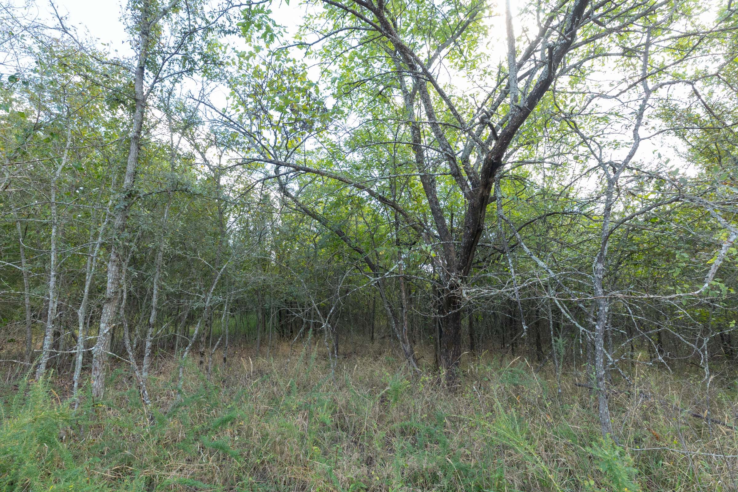 Reserves At Cattail Cove Phase II Tract 71 photo 8