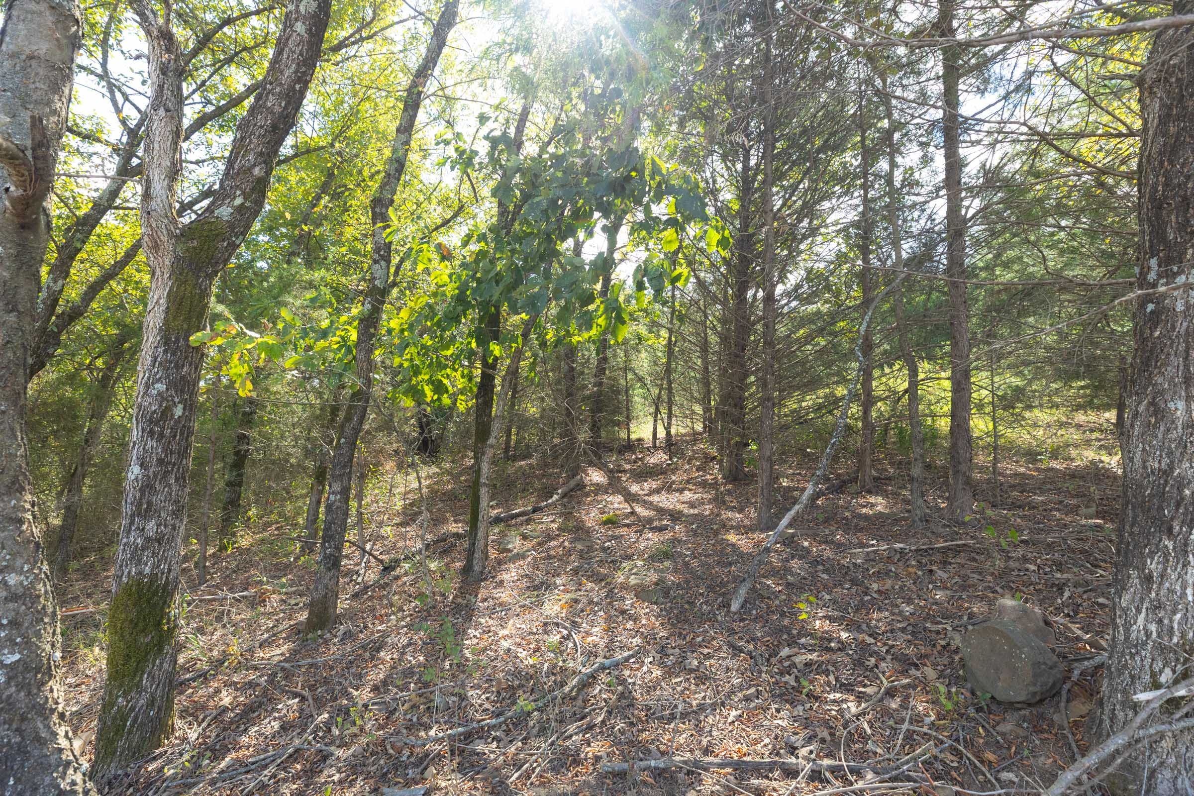 Reserves At Cattail Cove Phase II Tract 71 photo 5