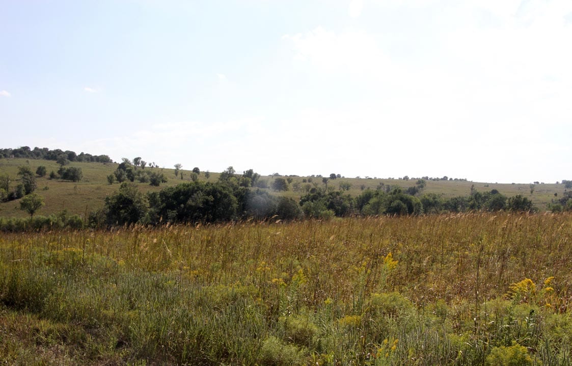 Cowboy Meadows Tract 17 photo 1
