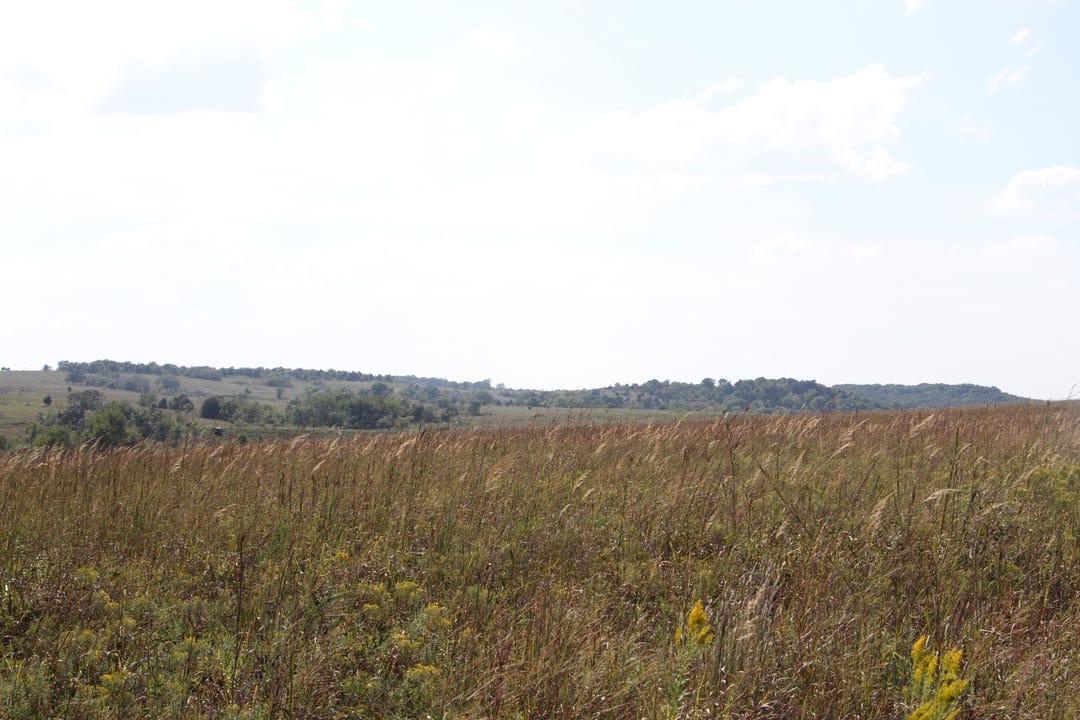 Cowboy Meadows Tract 17 photo 2