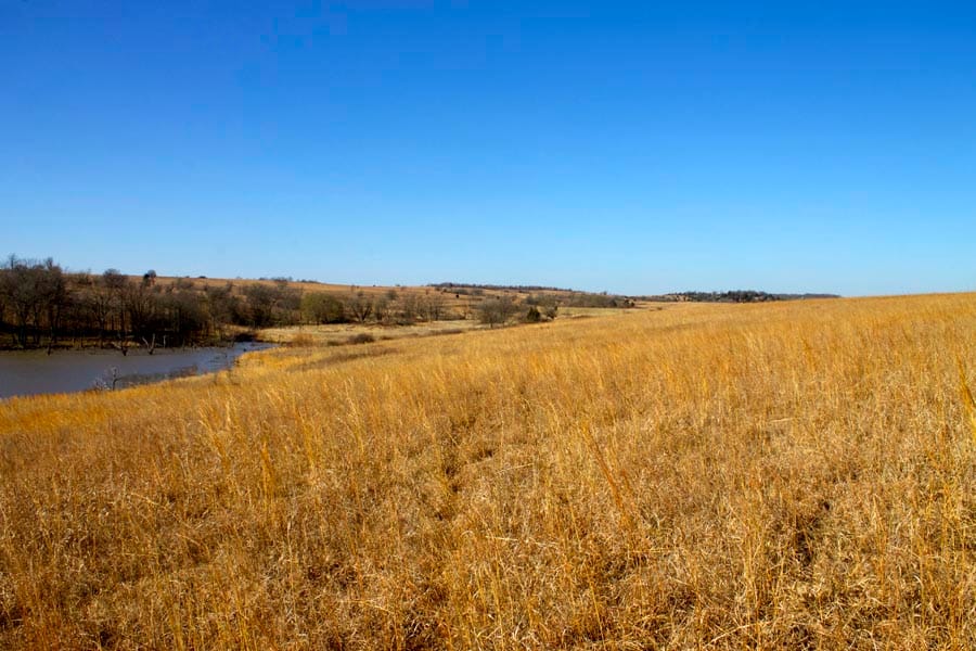 Cowboy Meadows Tract 17 photo 8