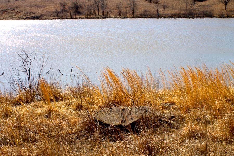 Cowboy Meadows Tract 17 photo 11