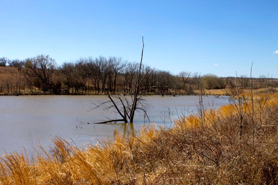 Cowboy Meadows Tract 17 photo 12