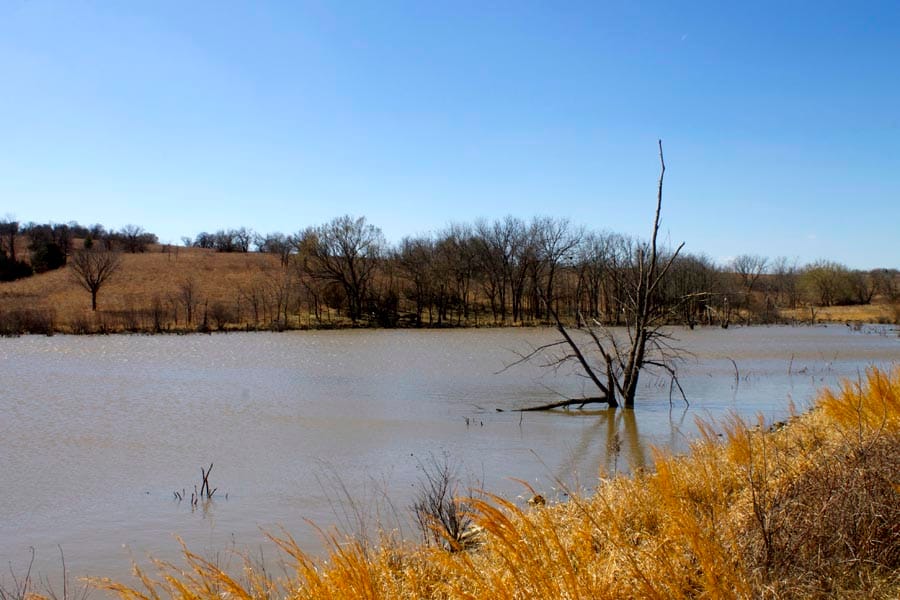 Cowboy Meadows Tract 17 photo 14