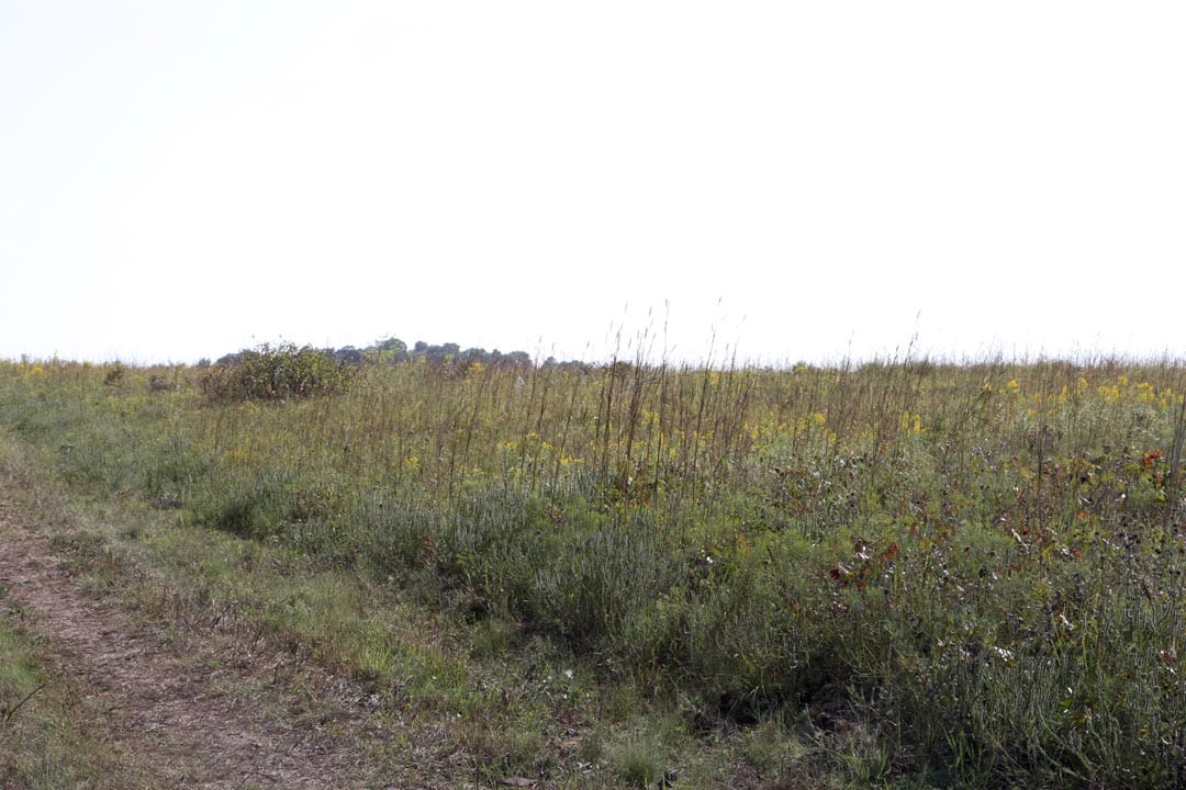 Cowboy Meadows Tract 18 photo 1