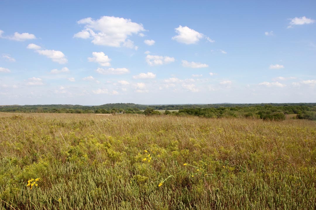 Cowboy Meadows Tract 18 photo 2