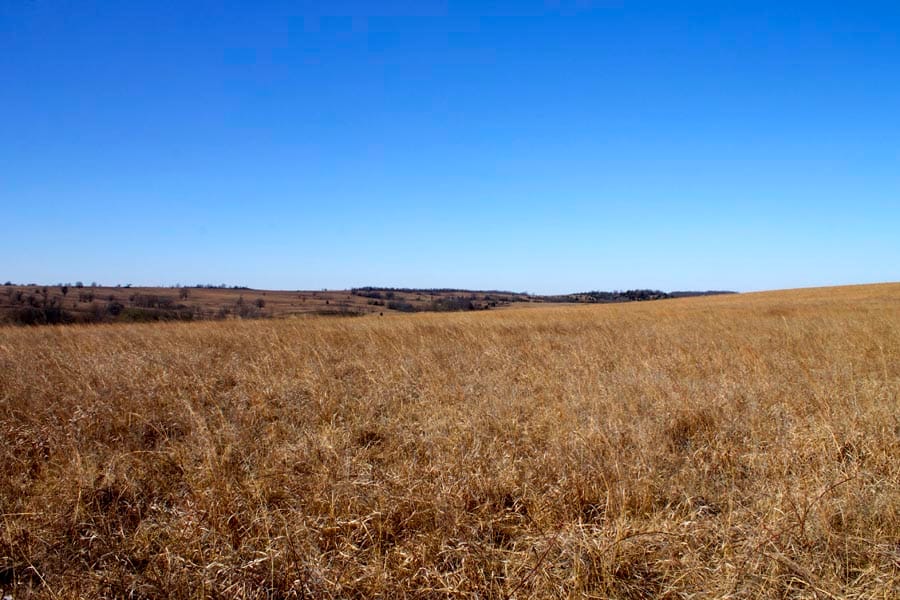 Cowboy Meadows Tract 18 photo 5