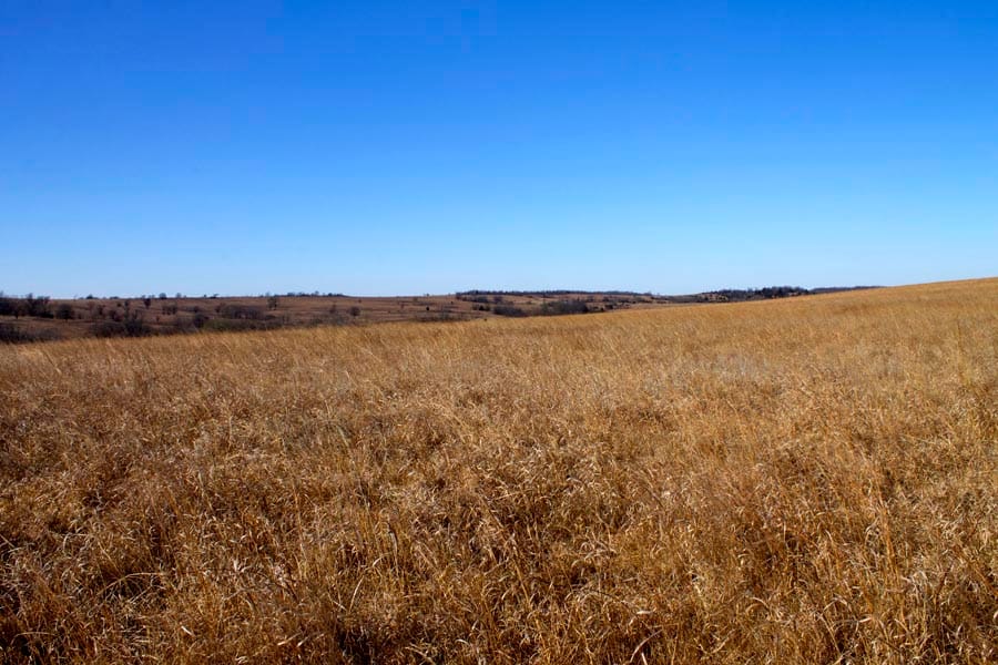Cowboy Meadows Tract 18 photo 6