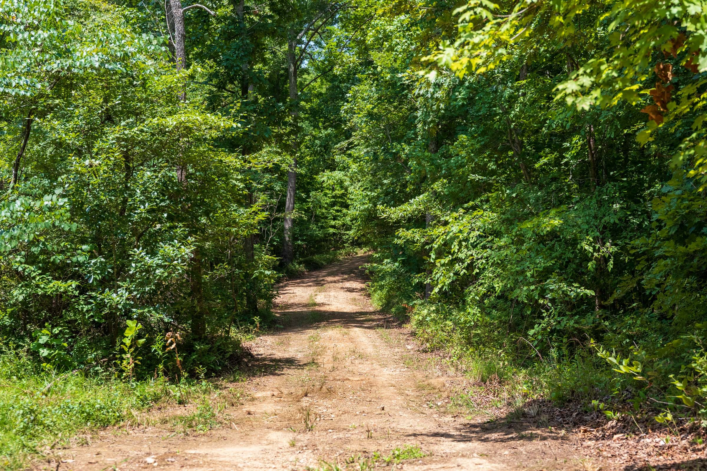Cypress Ridge Tract 11 photo 3