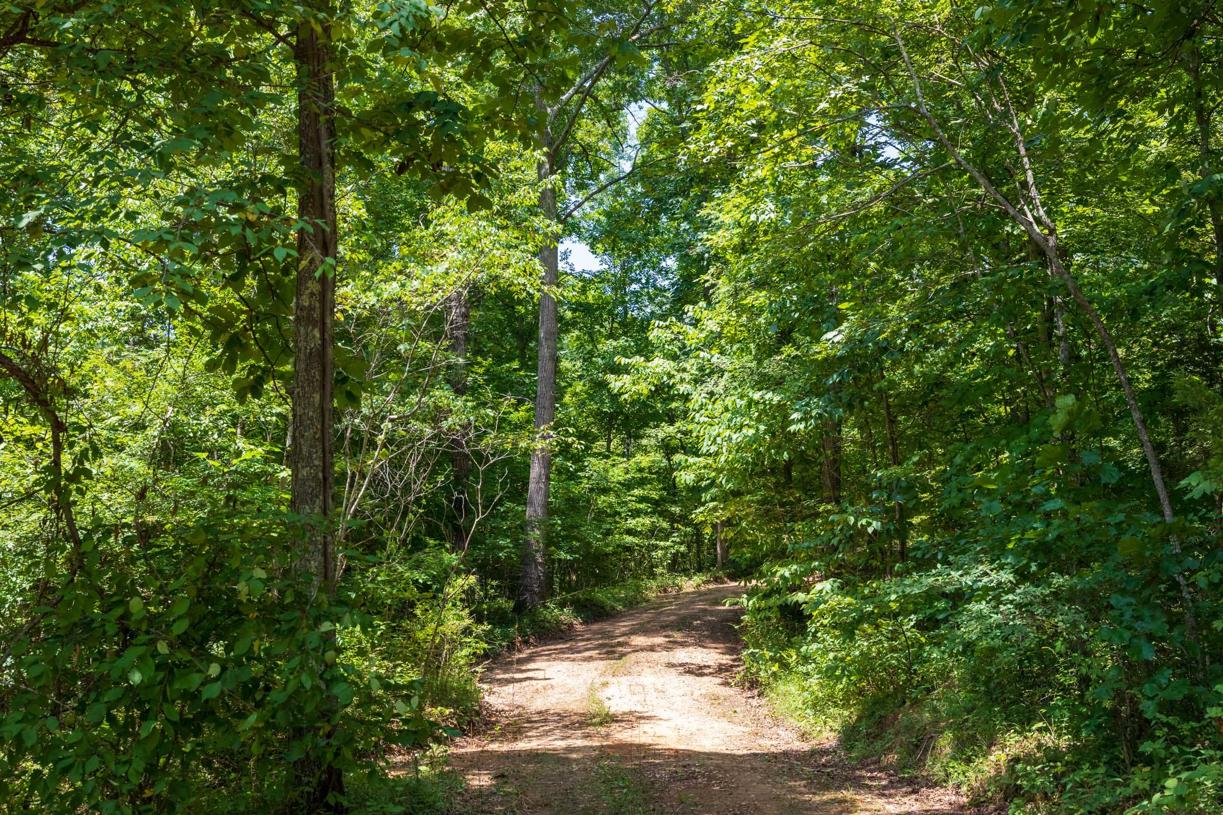 Cypress Ridge Tract 11 photo 7