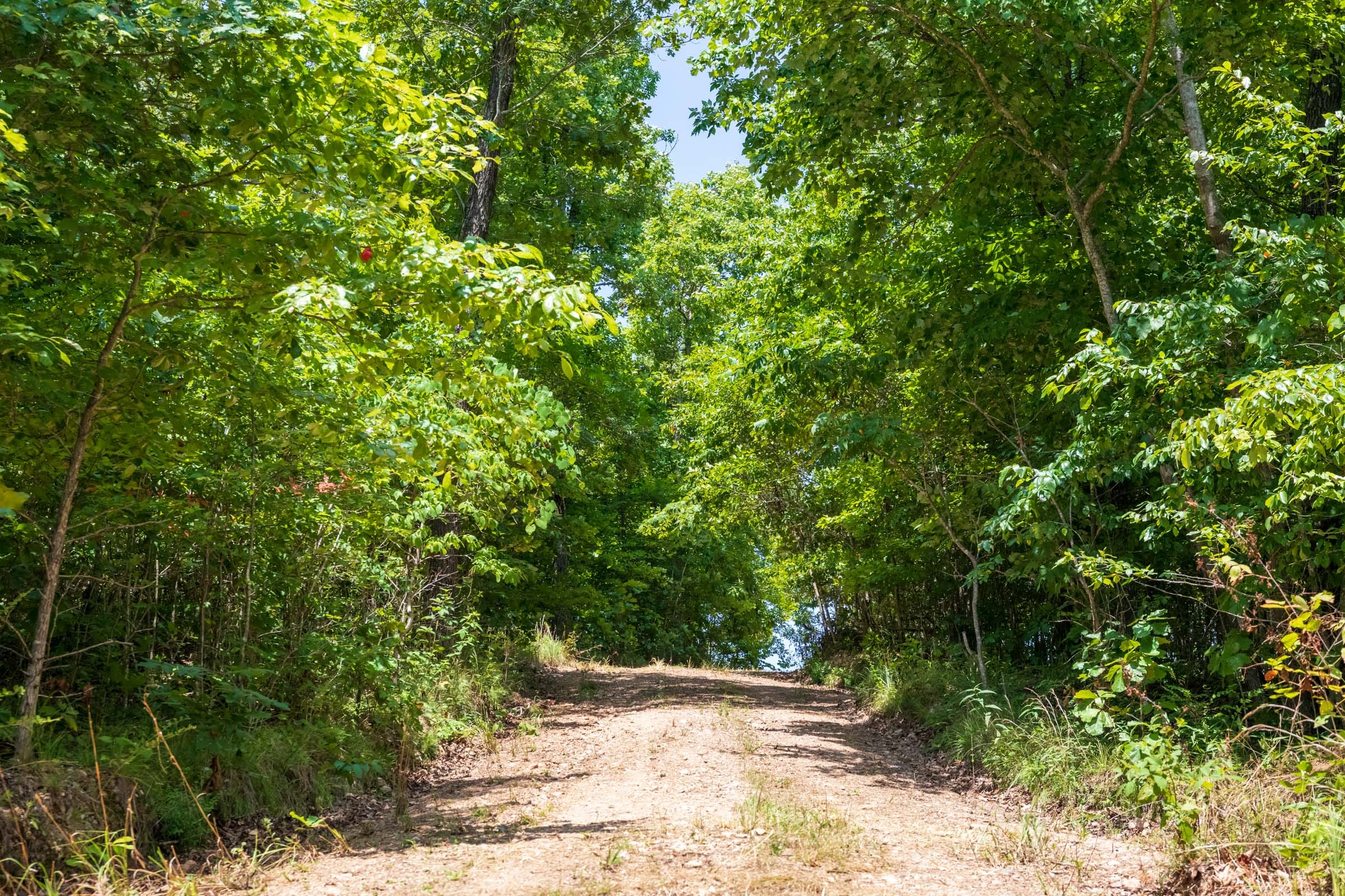 Cypress Ridge Tract 11 photo 5