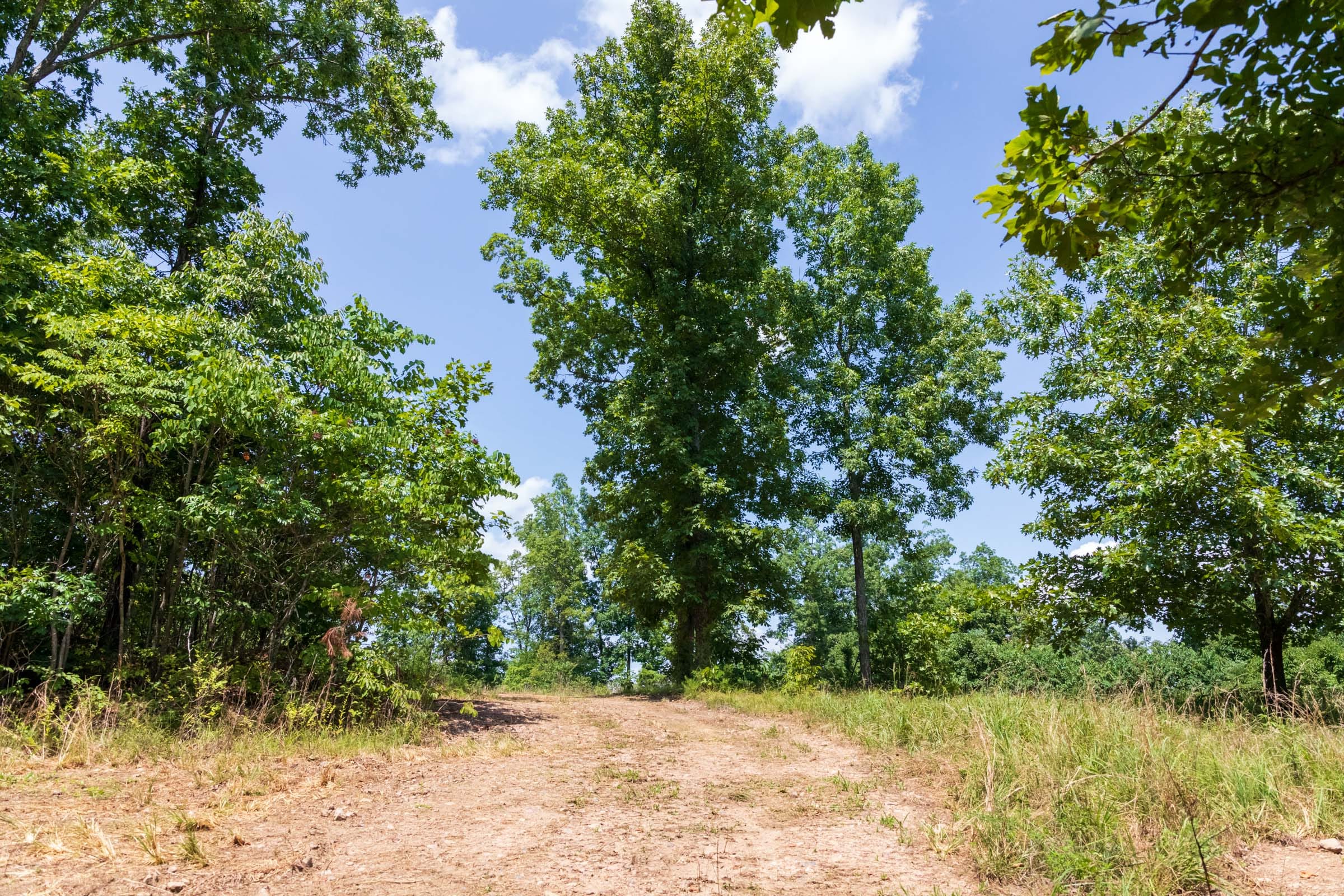 Cypress Ridge Tract 11 photo 11