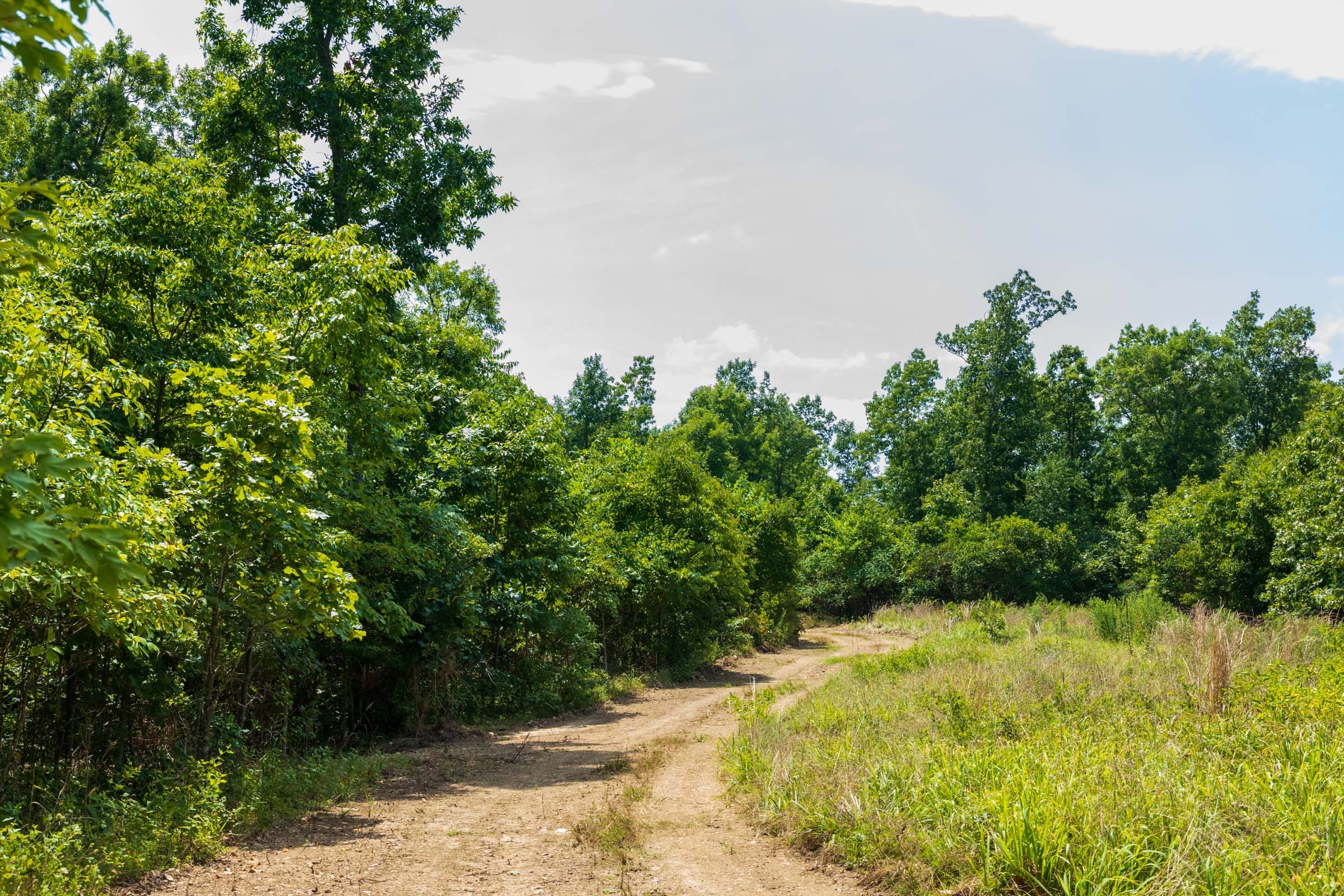 Cypress Ridge Tract 11 photo 9