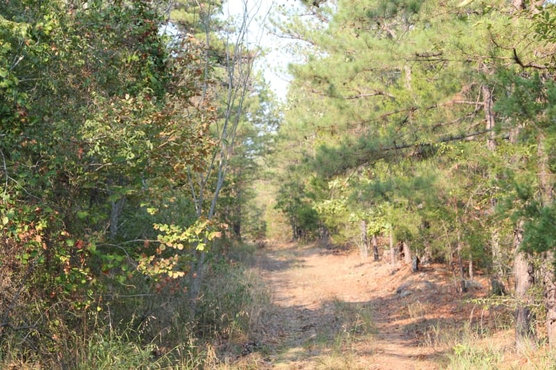 Lake View Ranch Tract 20 photo 1
