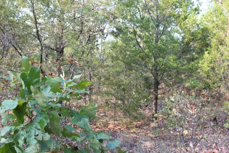 Lake View Ranch Tract 20 photo 2