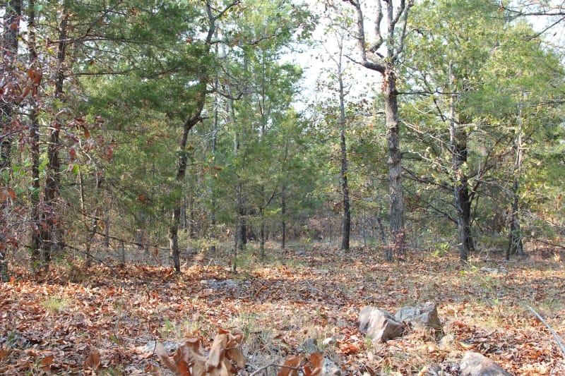 Lake View Ranch Tract 20 photo 3