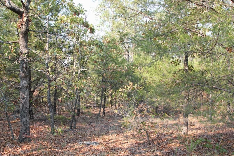Lake View Ranch Tract 20 photo 4