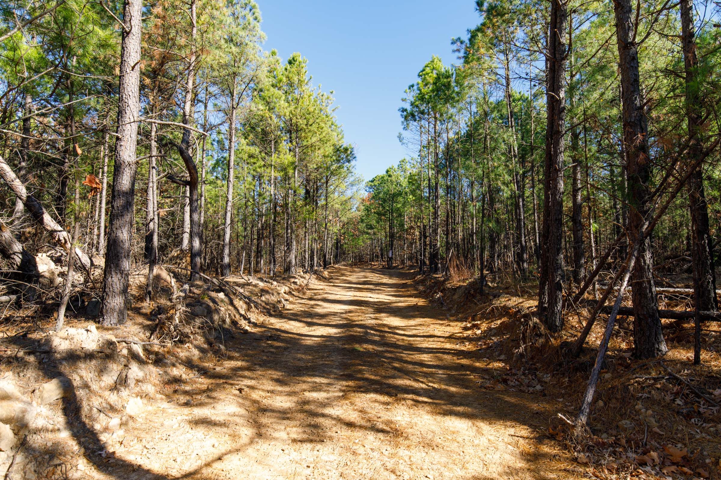 Stone Bridge Phase II Tract 129 photo 1