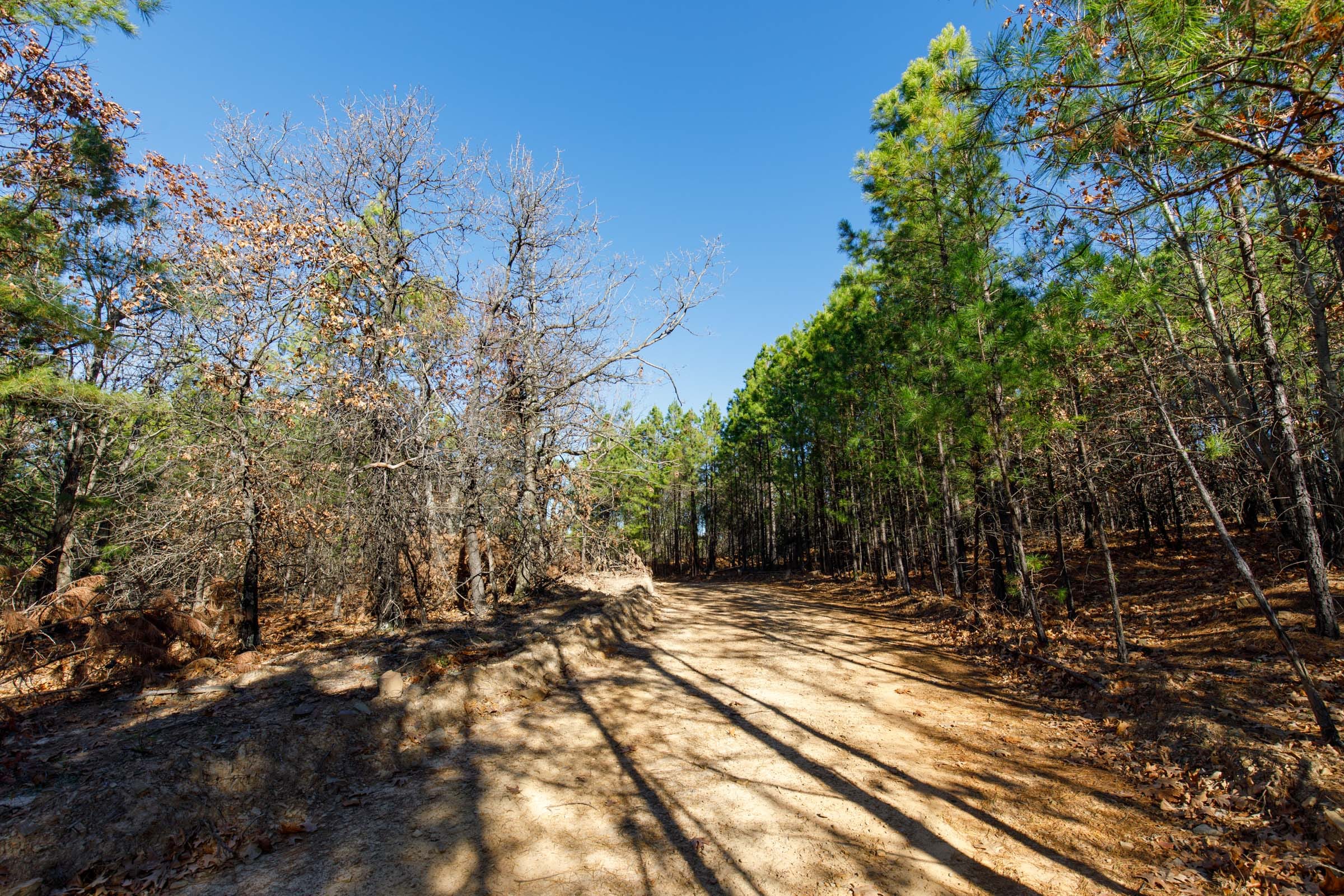 Stone Bridge Phase II Tract 129 photo 7