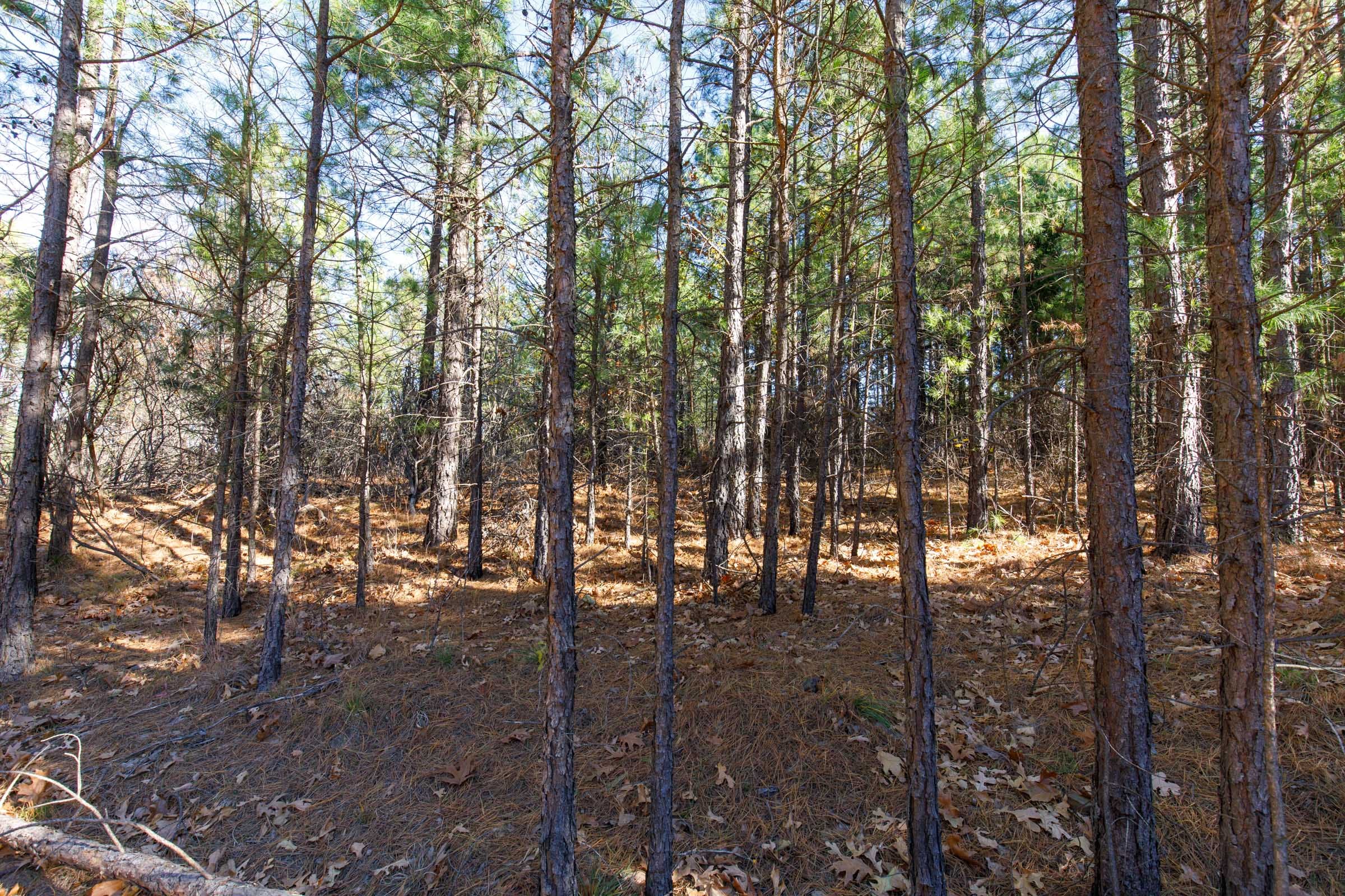 Stone Bridge Phase II Tract 129 photo 10