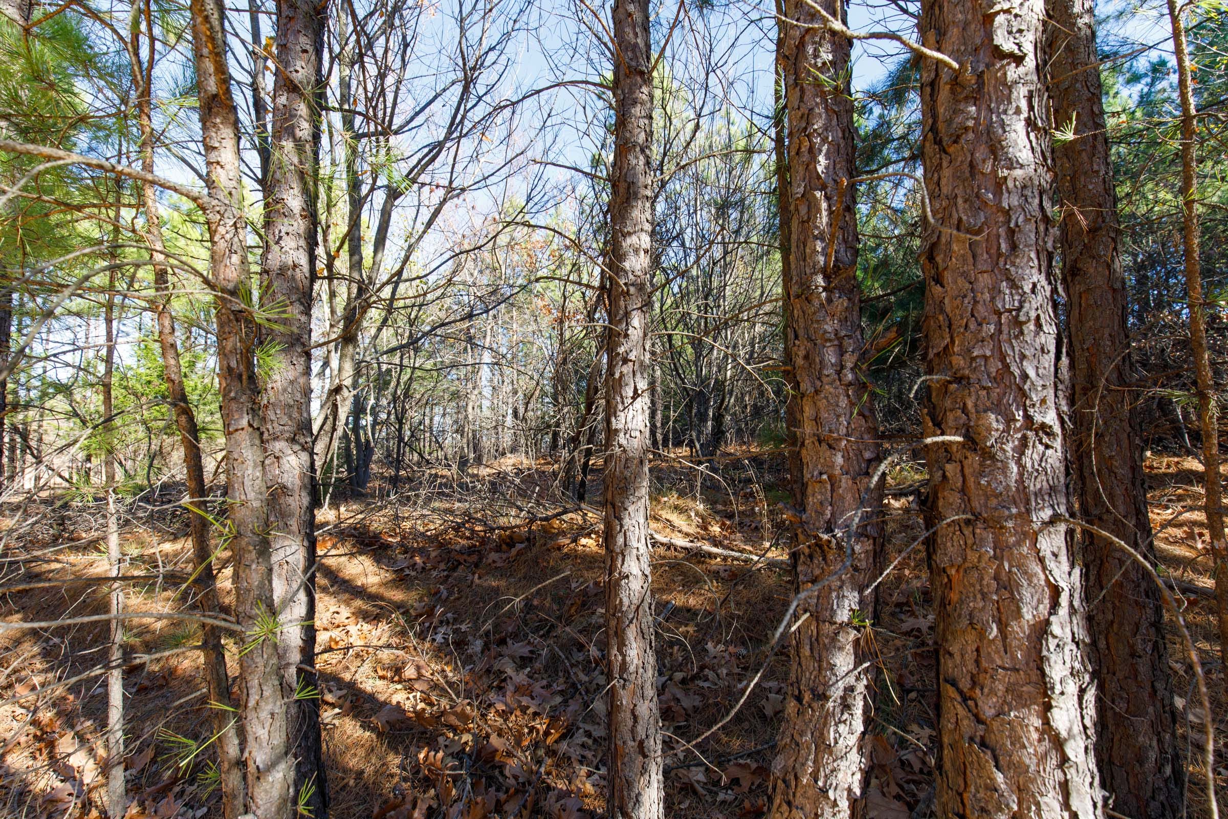 Stone Bridge Phase II Tract 129 photo 11