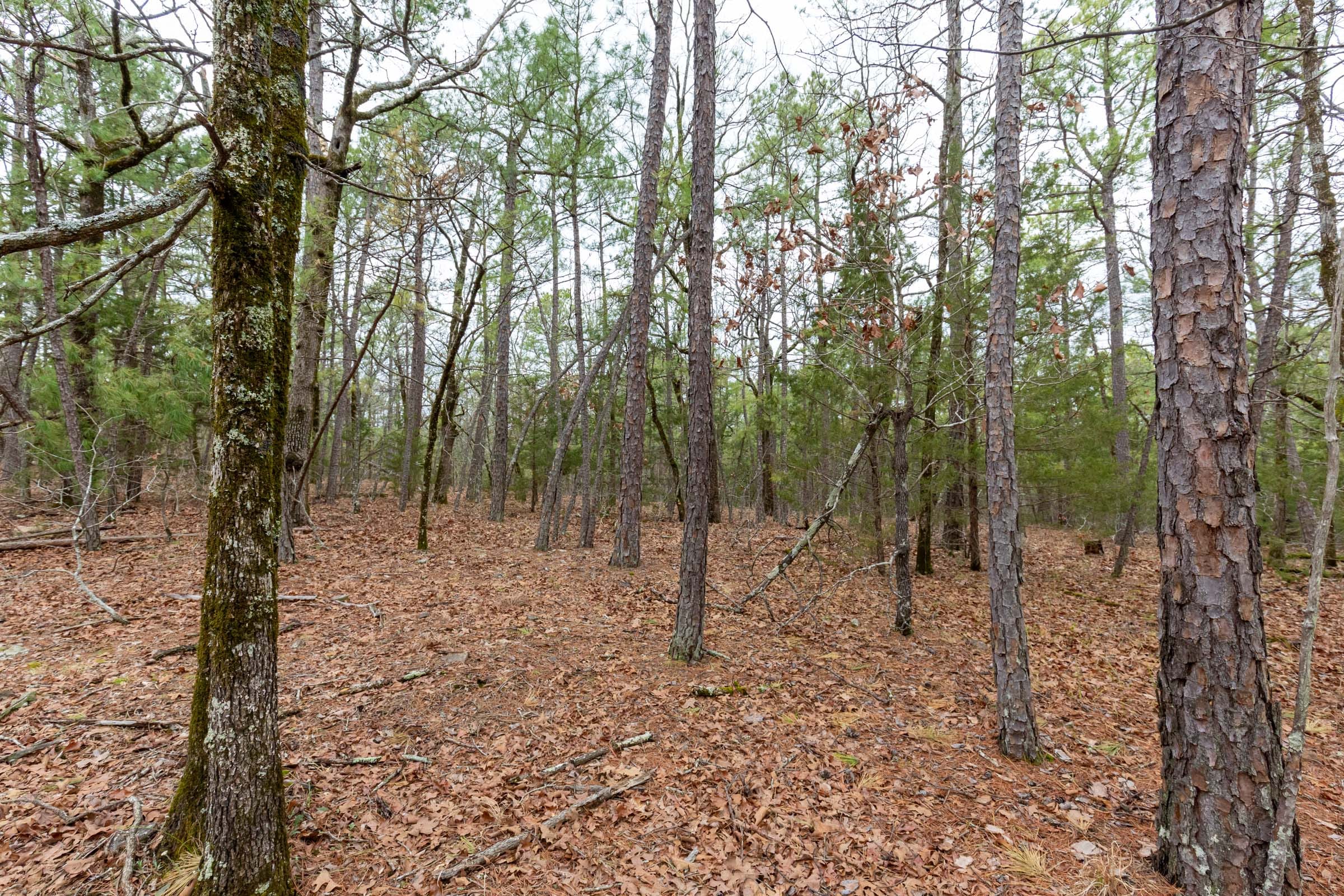 Stone Bridge Phase III Tract 191 photo 5