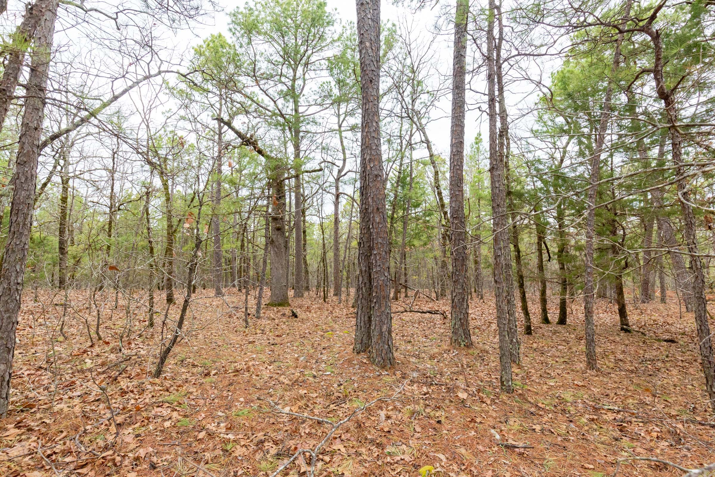 Stone Bridge Phase III Tract 191 photo 8