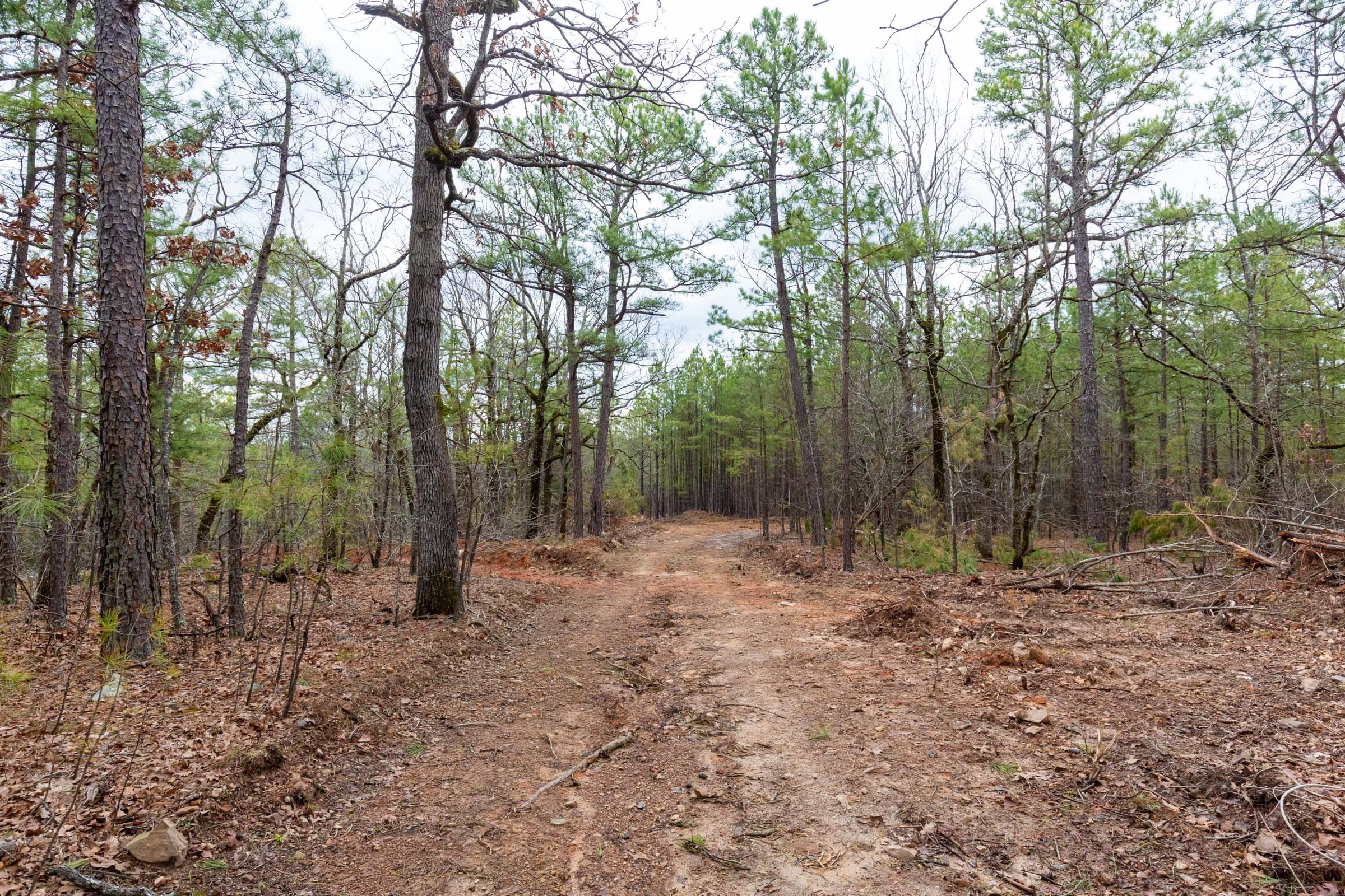 Stone Bridge Phase III Tract 191 photo 1