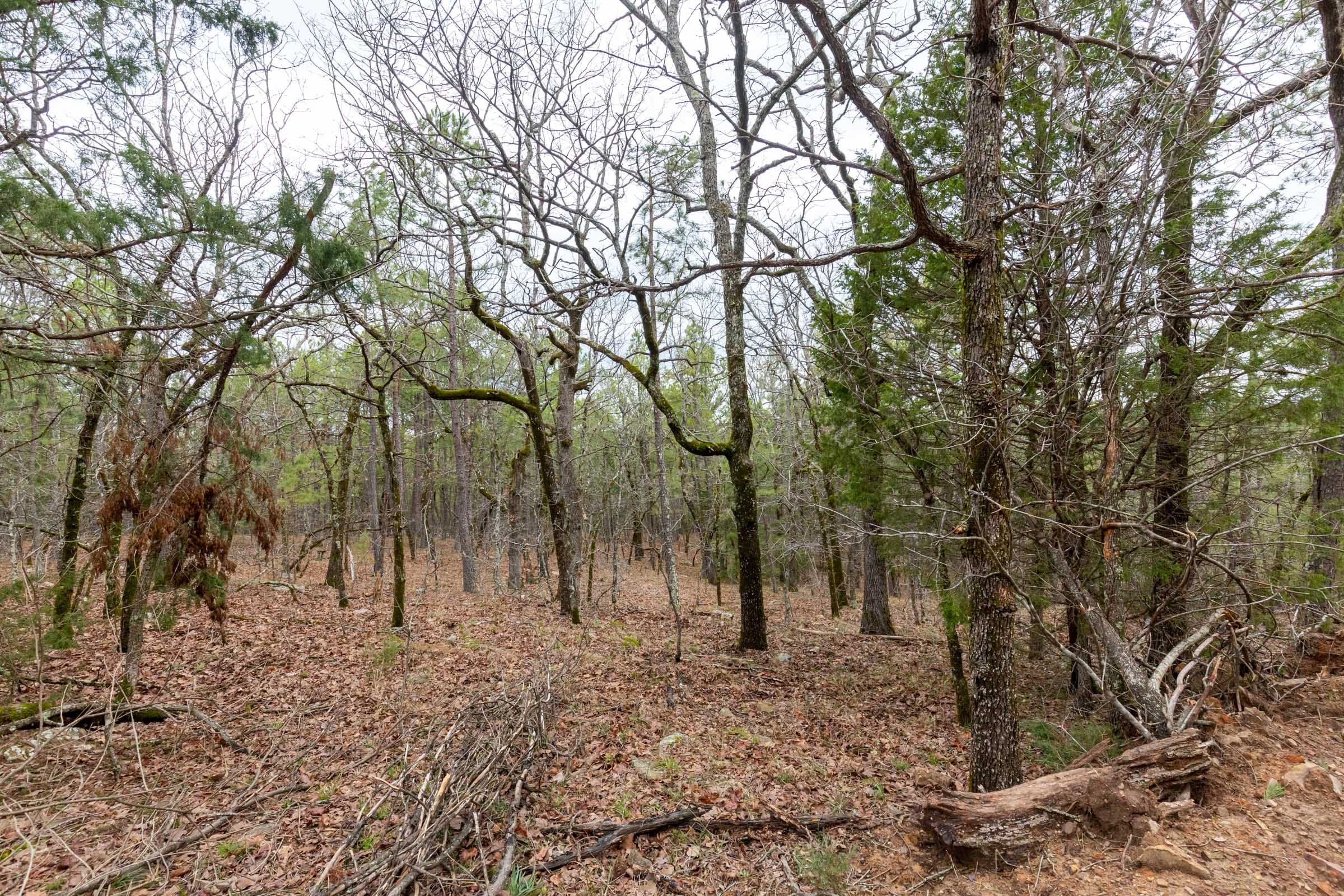 Stone Bridge Phase III Tract 191 photo 11