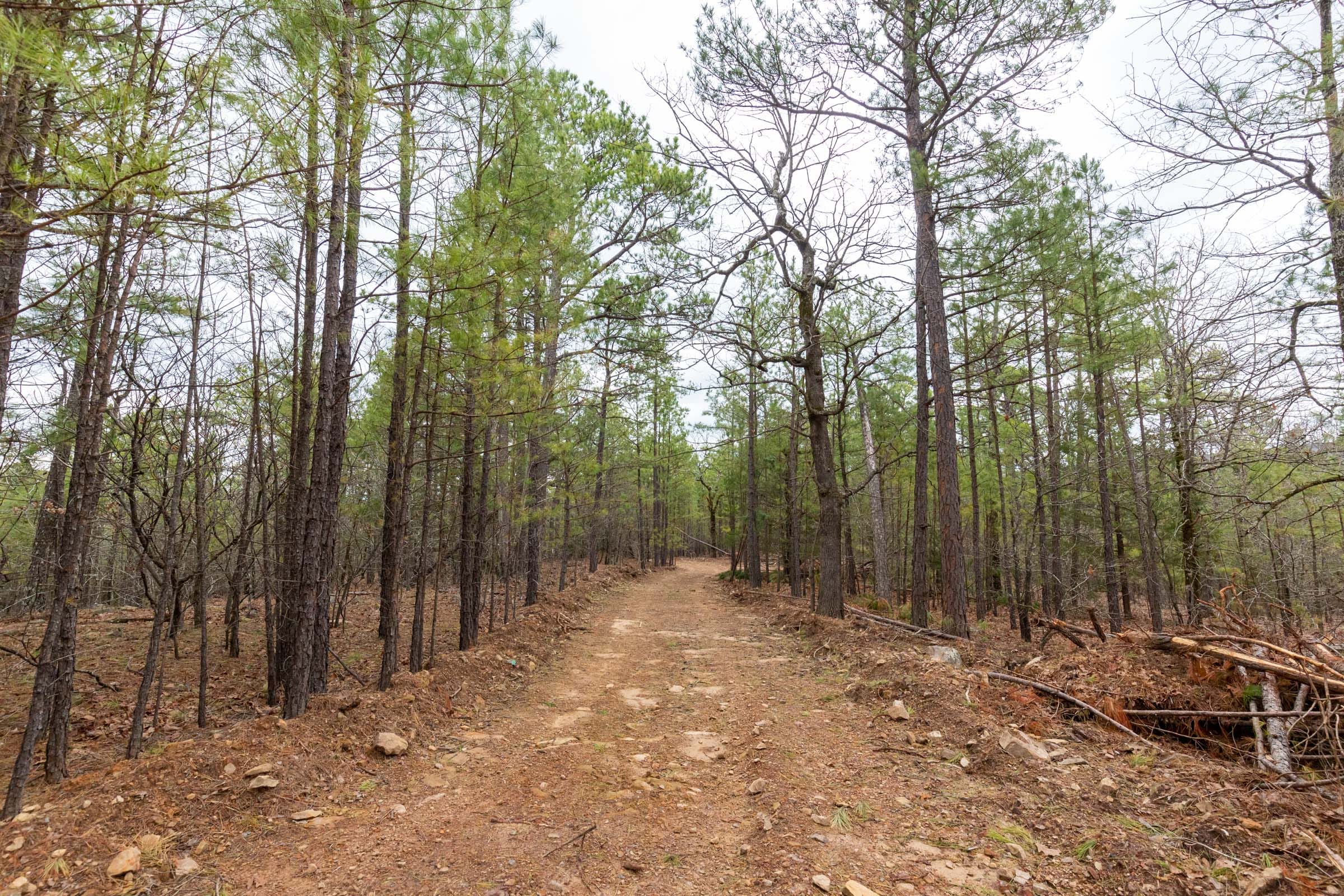 Stone Bridge Phase III Tract 191 photo 10