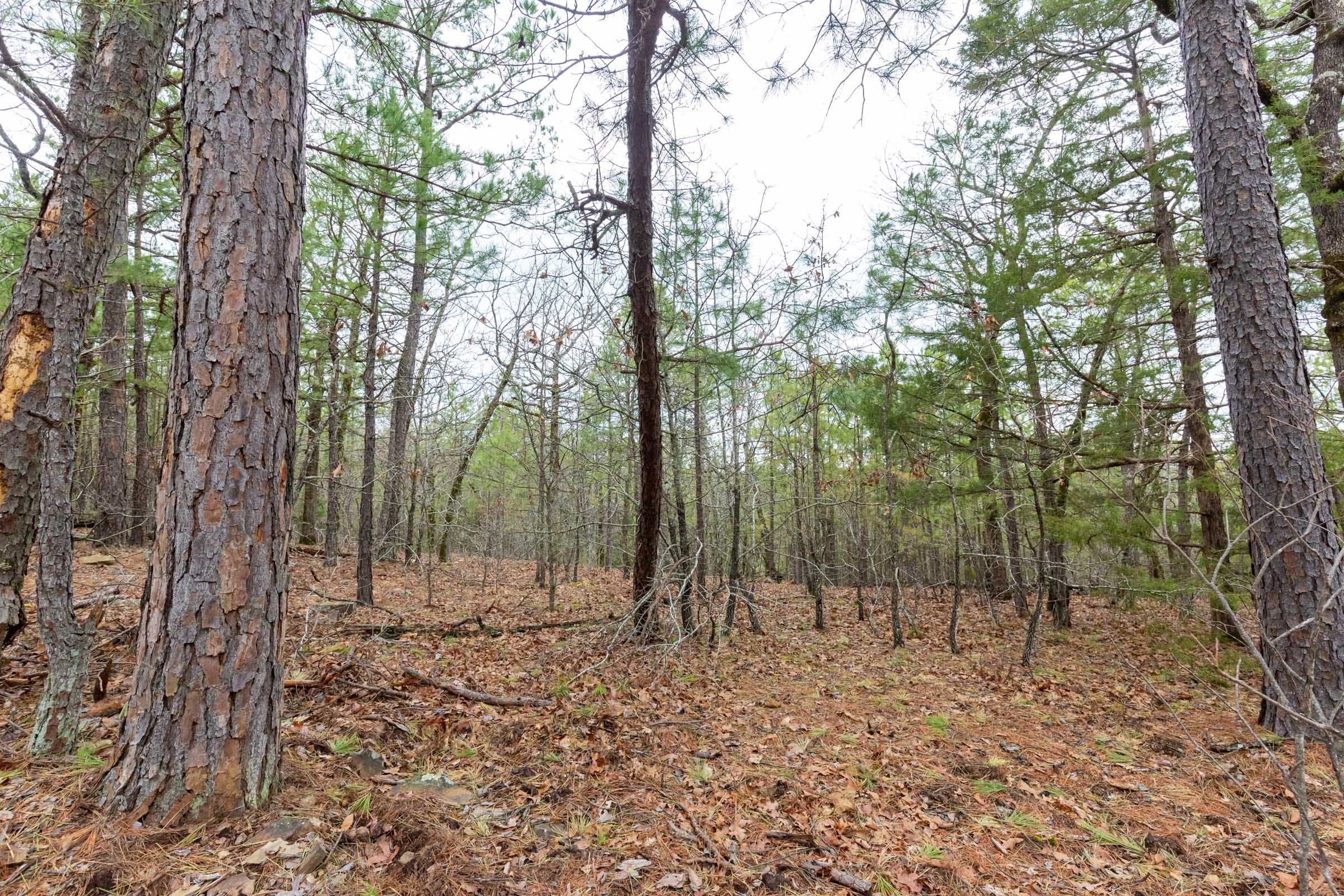 Stone Bridge Phase III Tract 191 photo 12