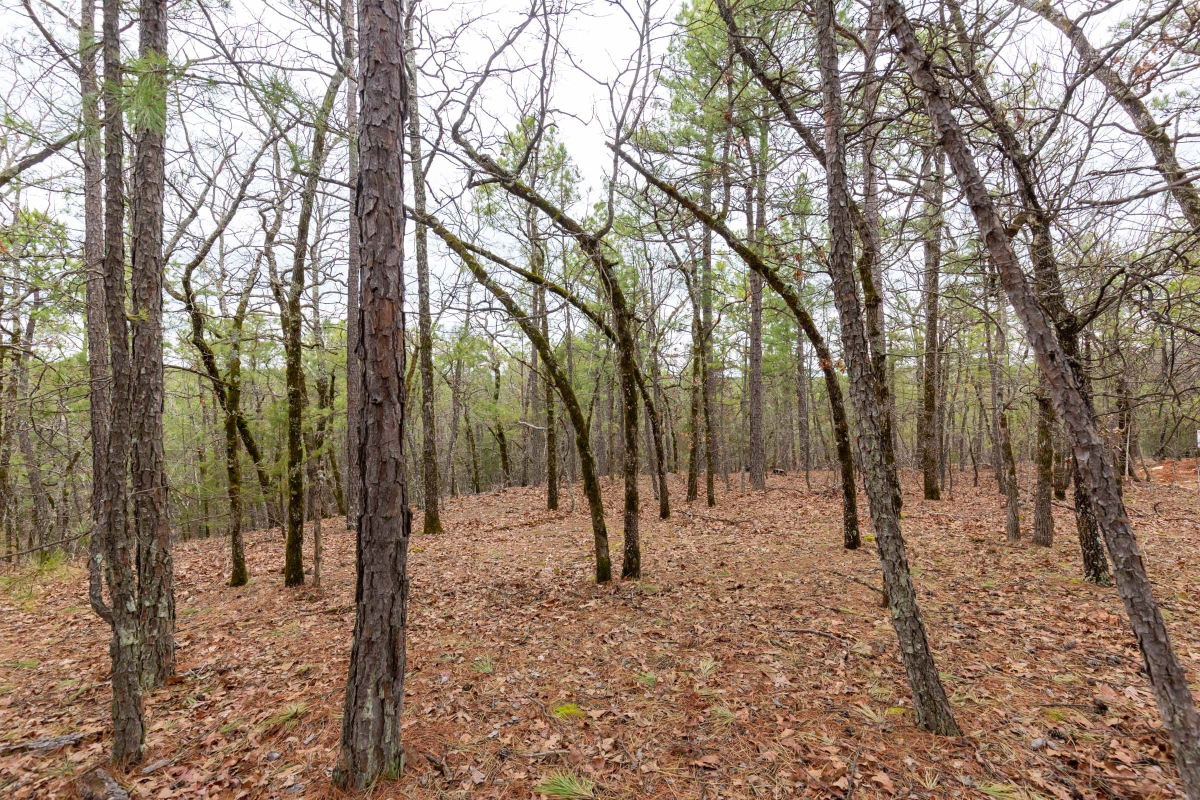 Stone Bridge Phase III Tract 191 photo 13