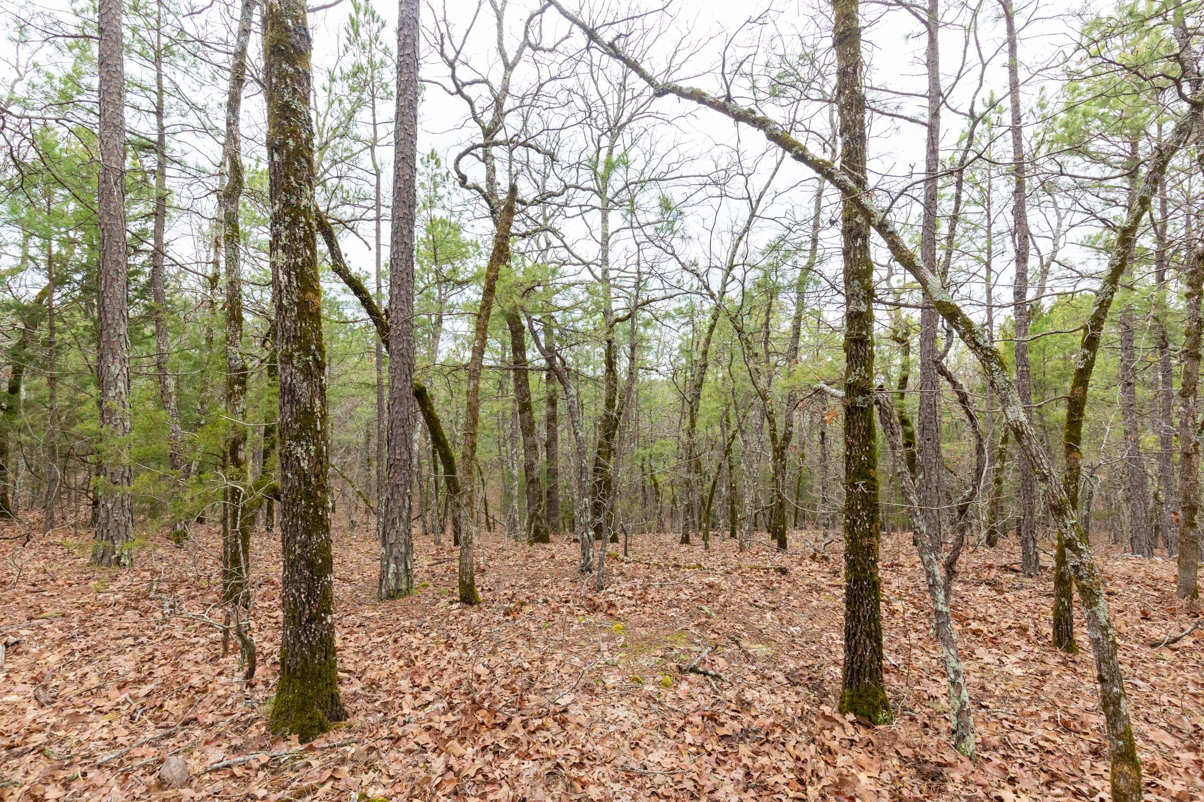 Stone Bridge Phase III Tract 191 photo 15