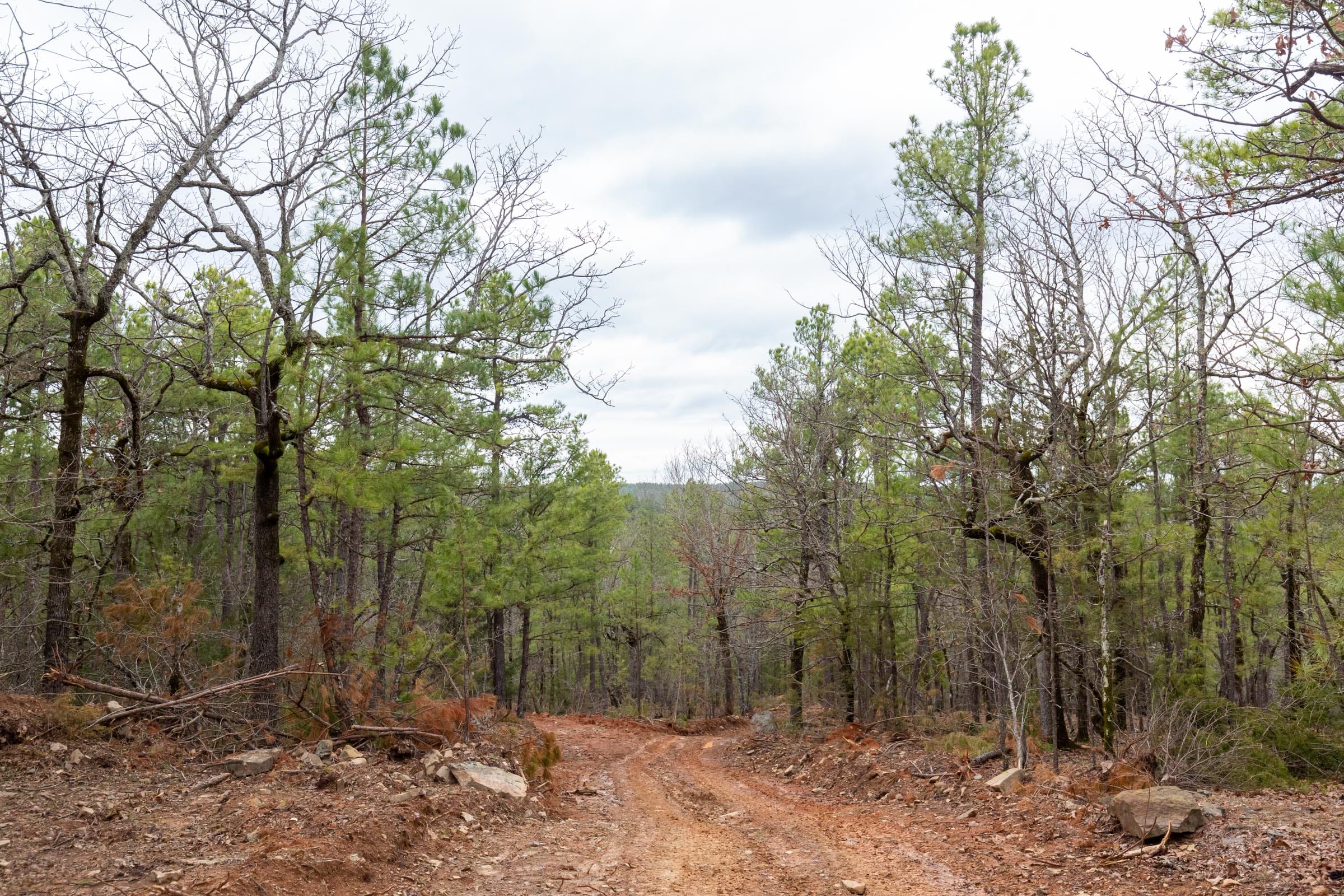 Stone Bridge Phase III Tract 191 photo 14