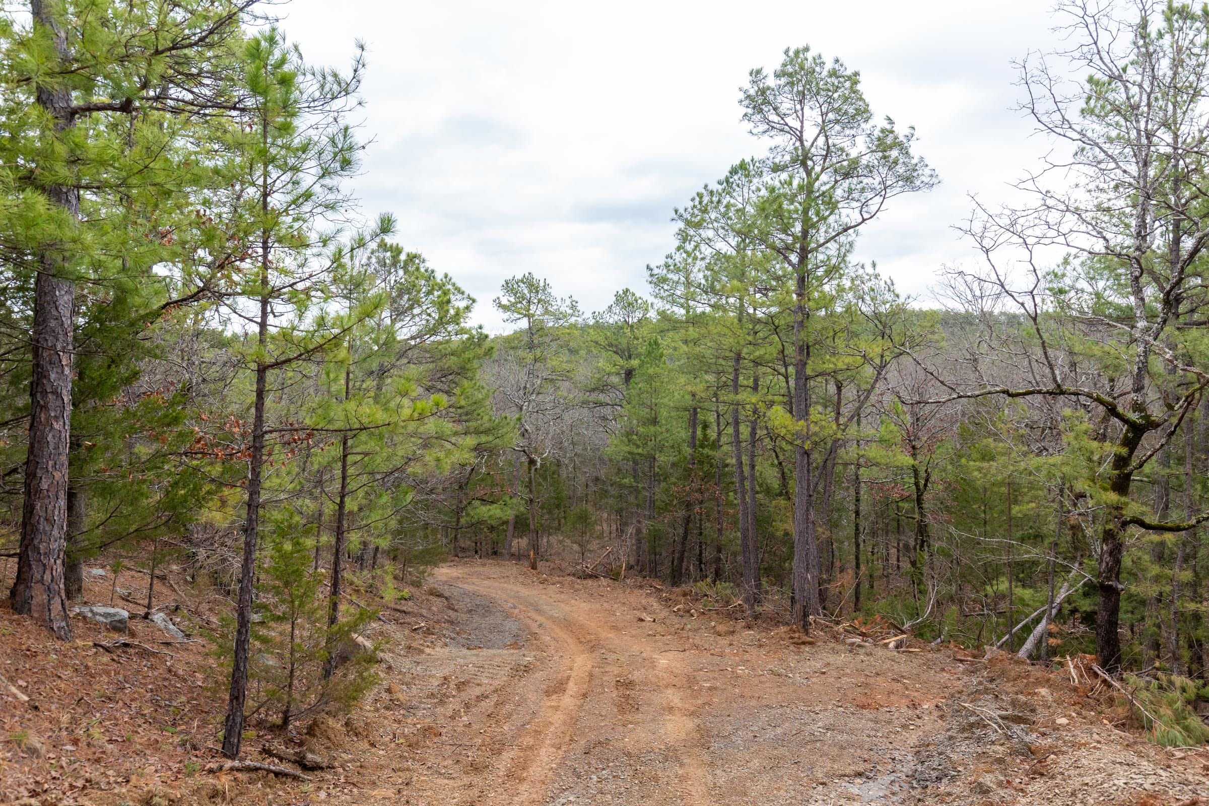 Stone Bridge Phase III Tract 191 photo 6