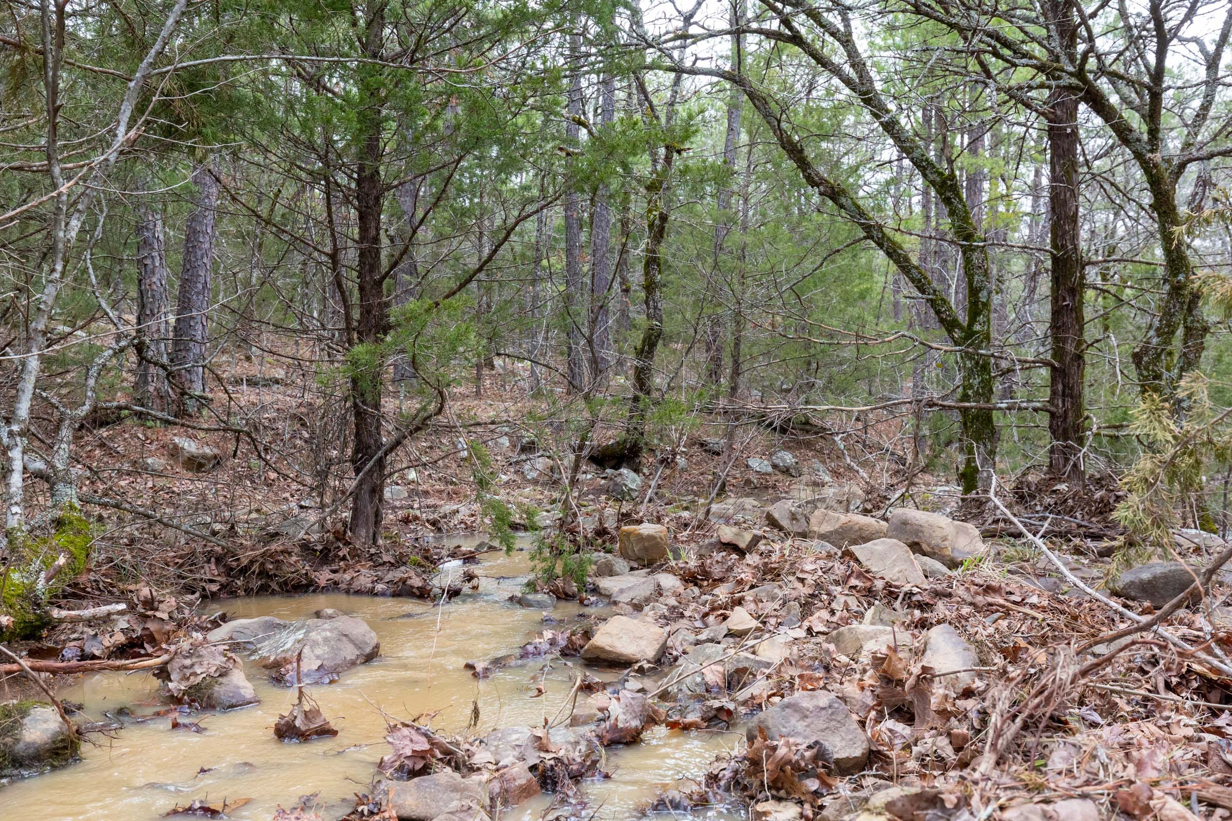 Stone Bridge Phase III Tract 191 photo 16
