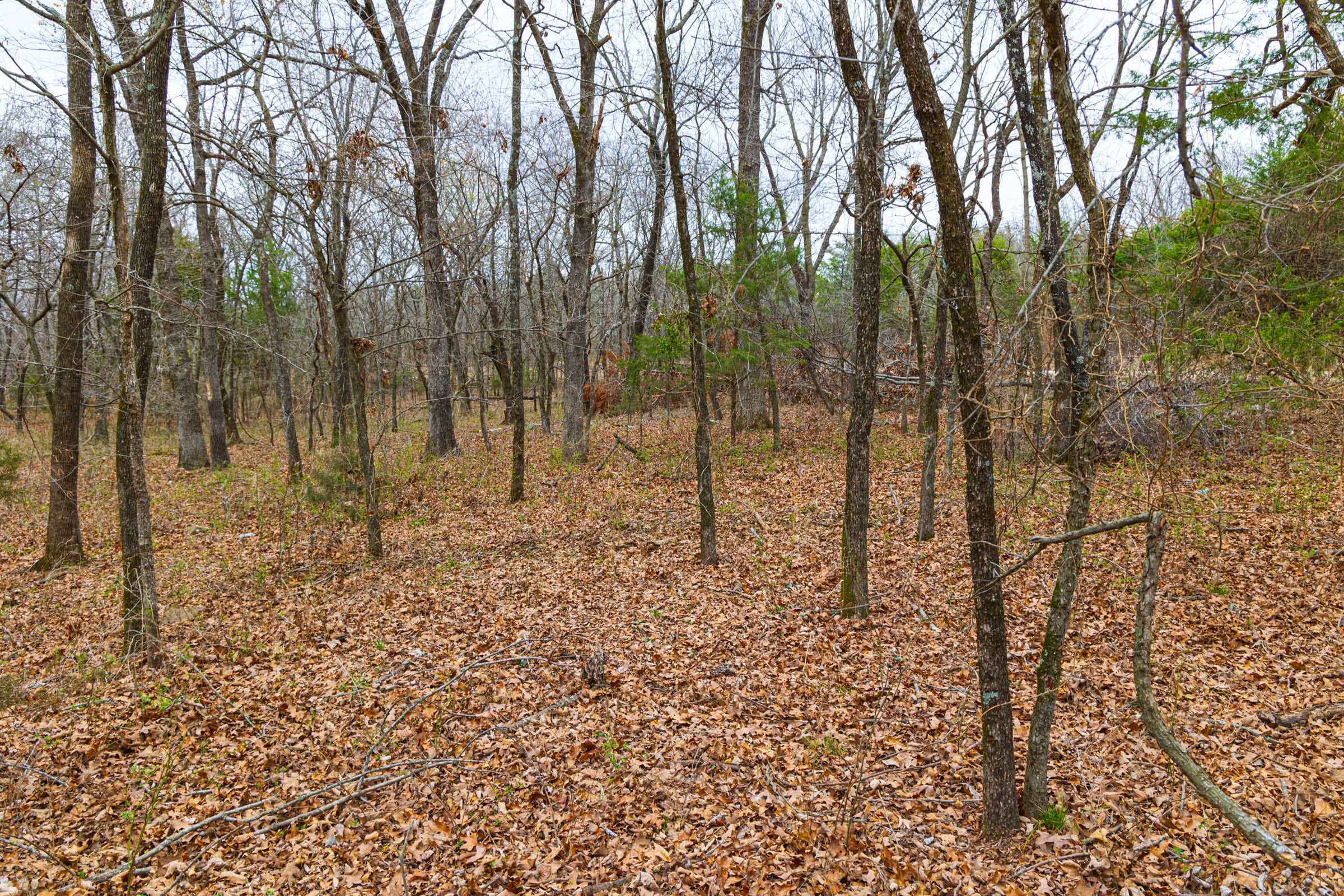 Reserves At Cattail Cove Phase I Tract 16 photo 19