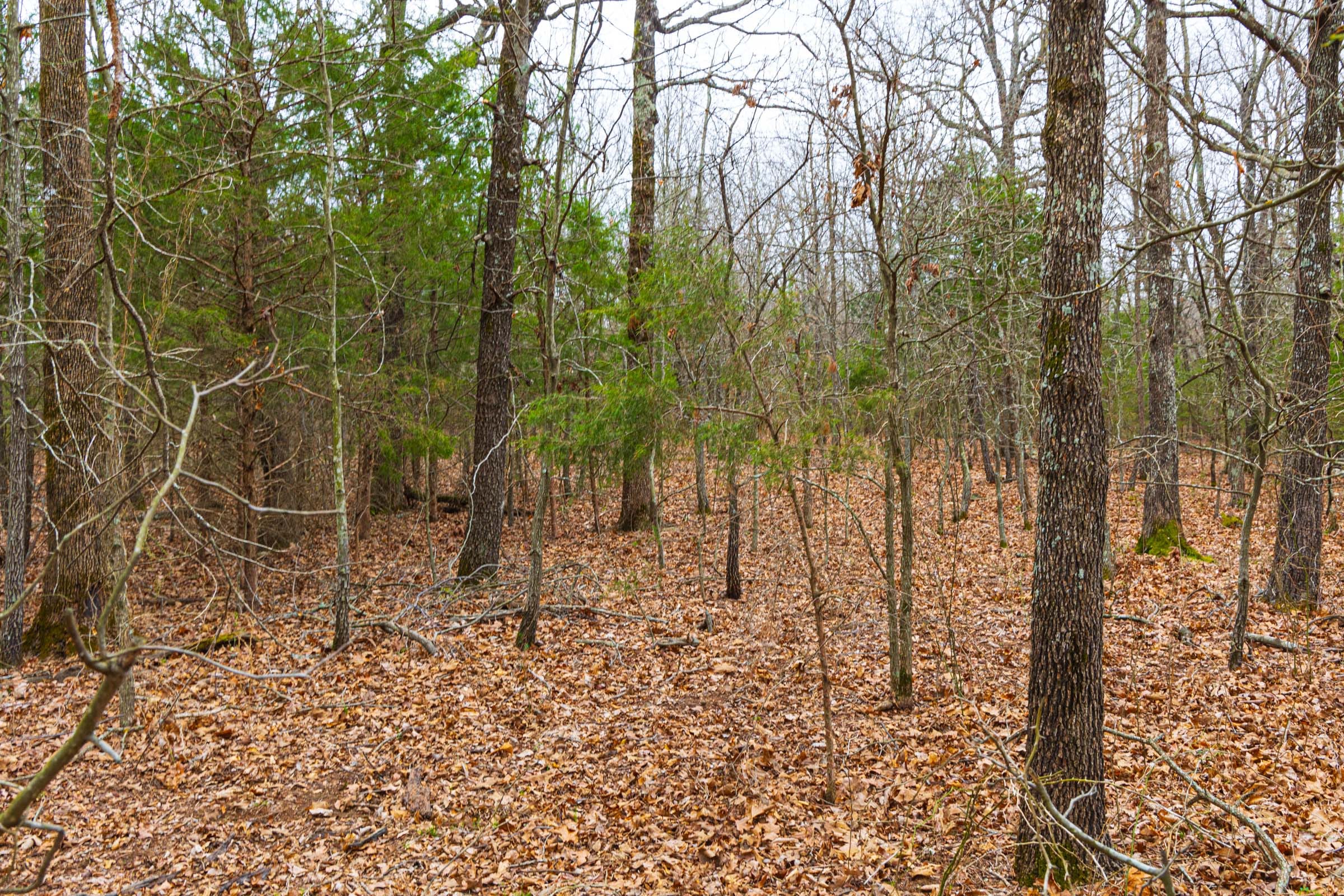Reserves At Cattail Cove Phase I Tract 16 photo 18