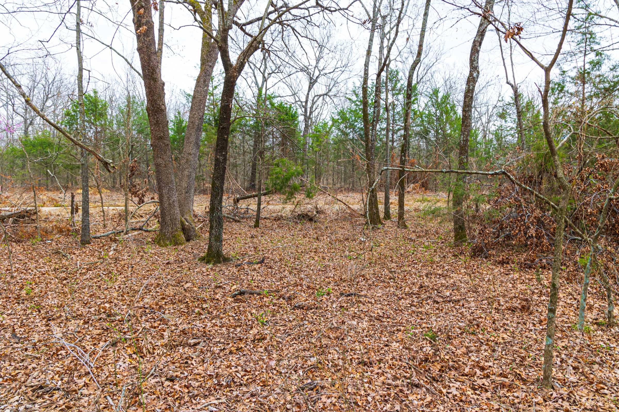 Reserves At Cattail Cove Phase I Tract 16 photo 16