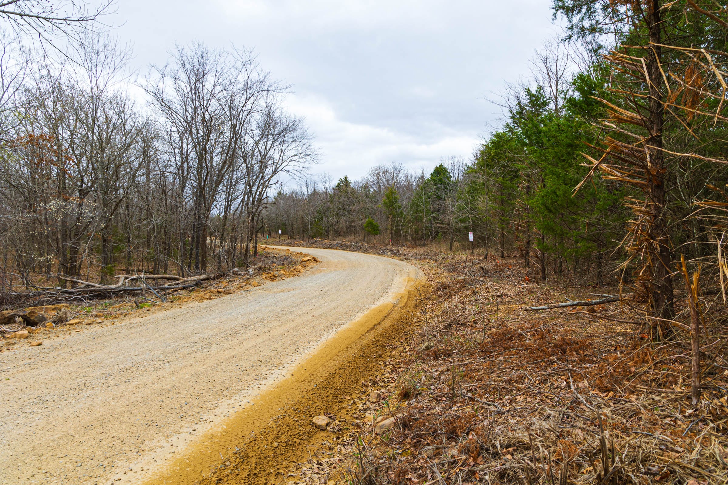 Reserves At Cattail Cove Phase I Tract 16 photo 4
