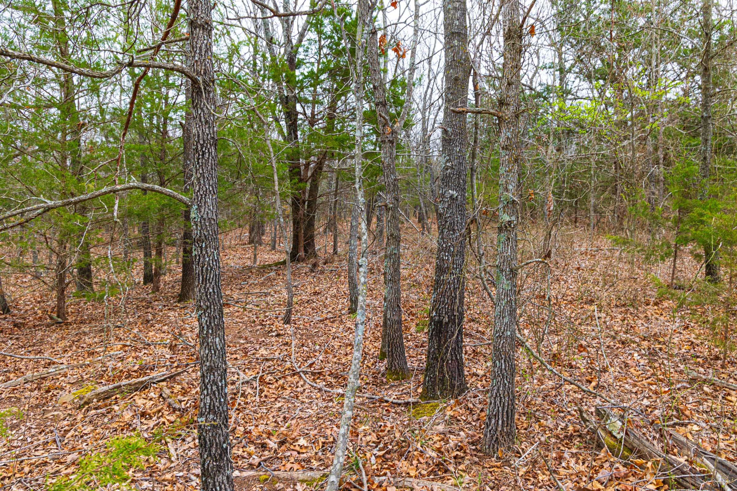Reserves At Cattail Cove Phase I Tract 16 photo 6